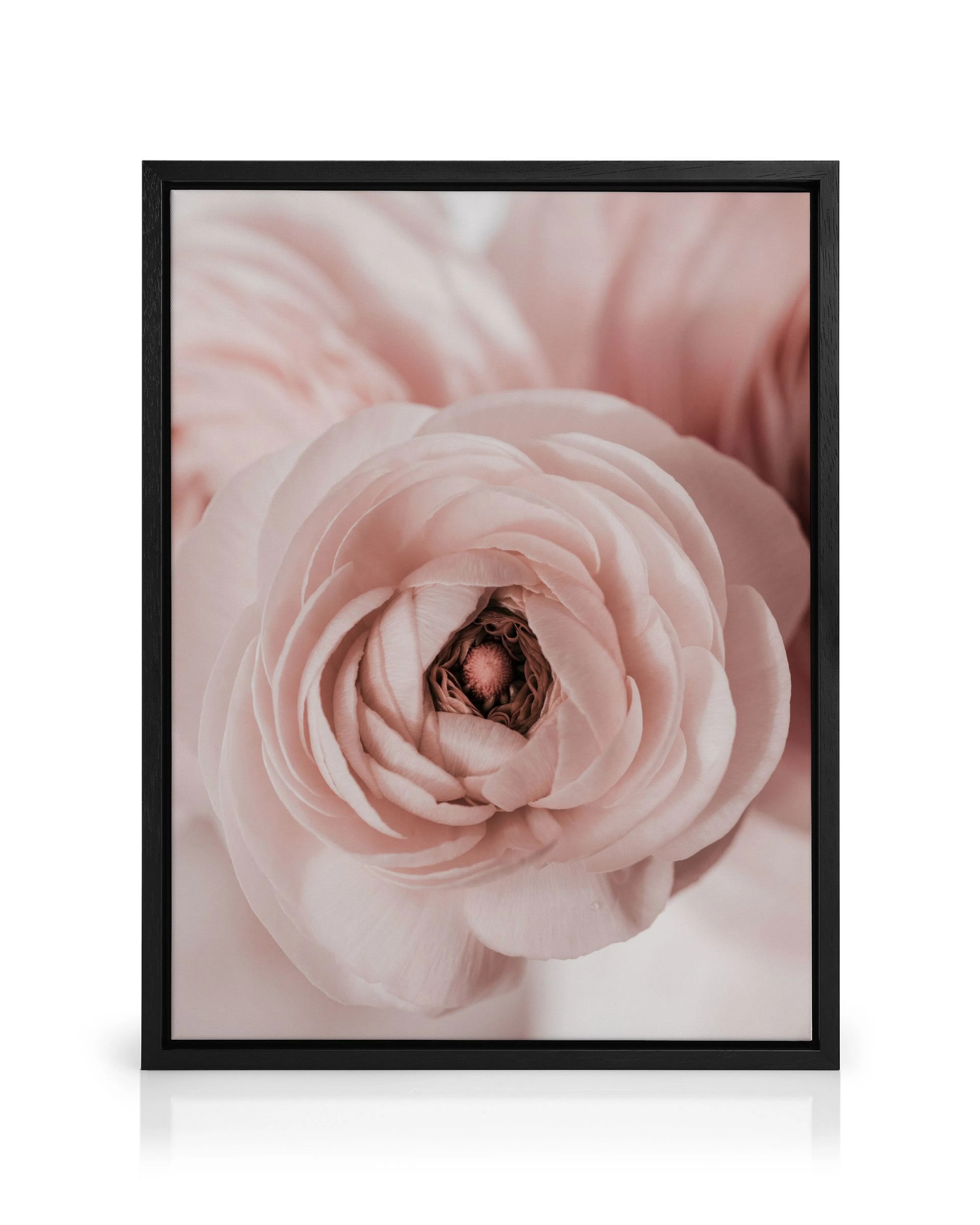 Product image: 1
