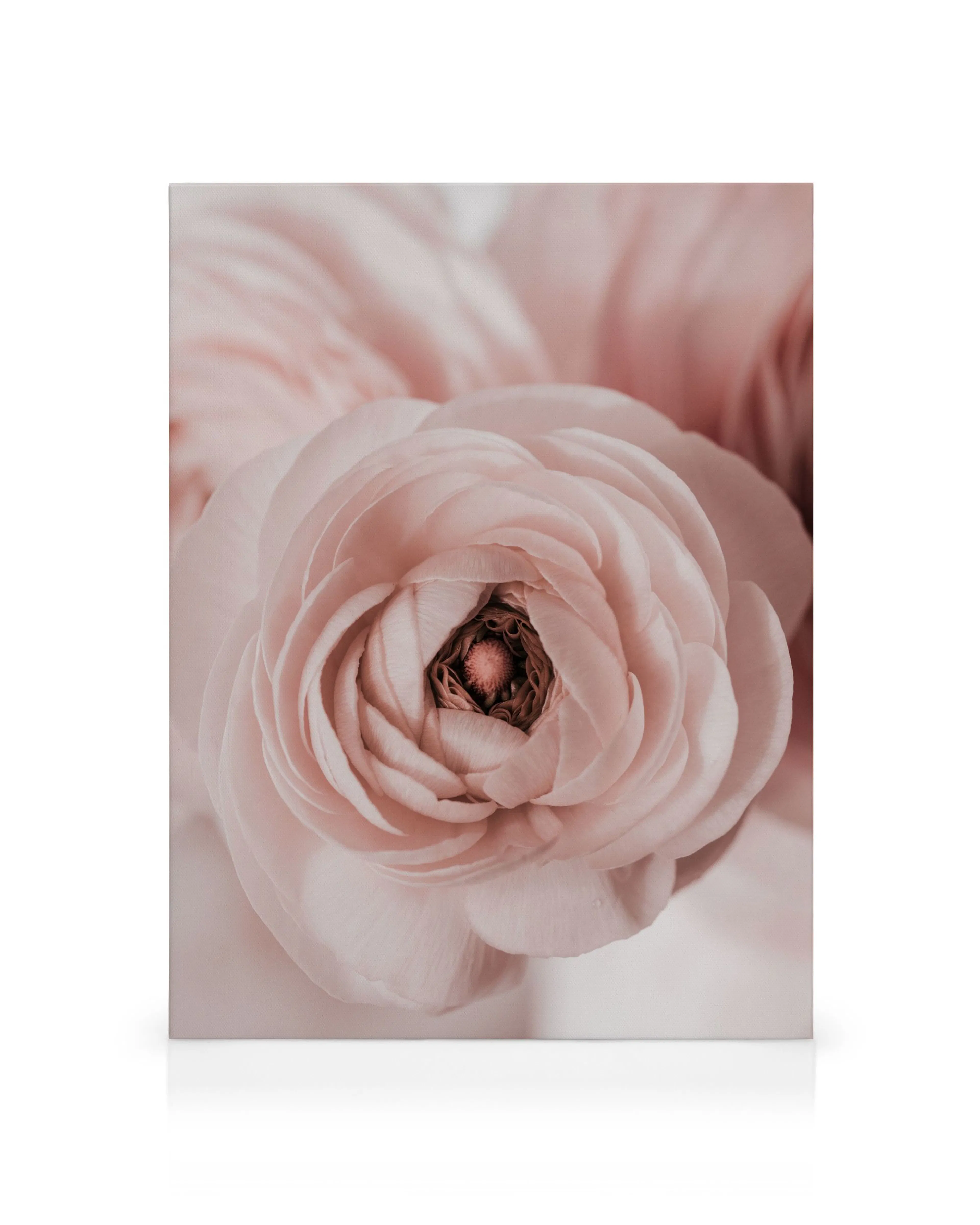 Product image: 1