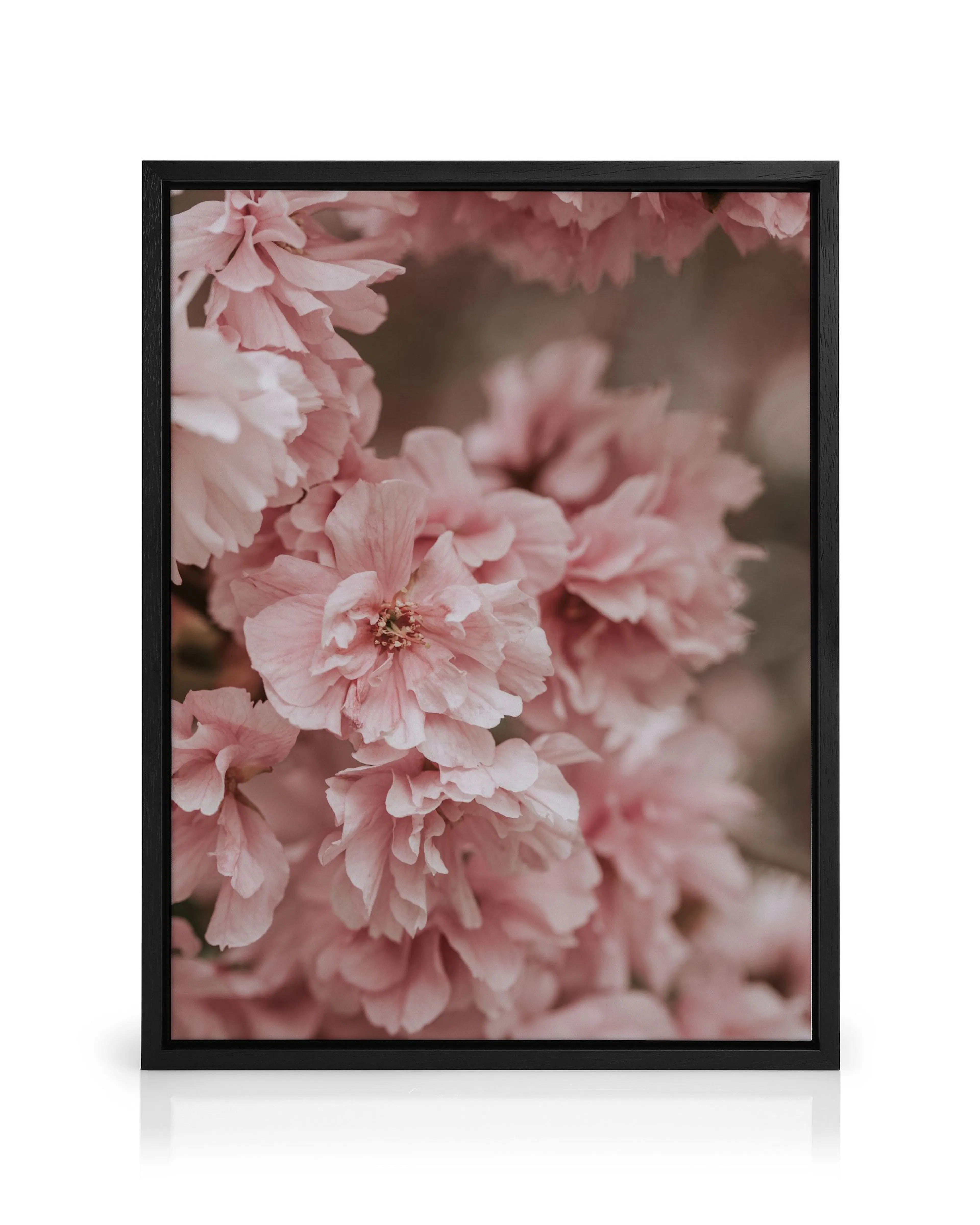 Product image: 1