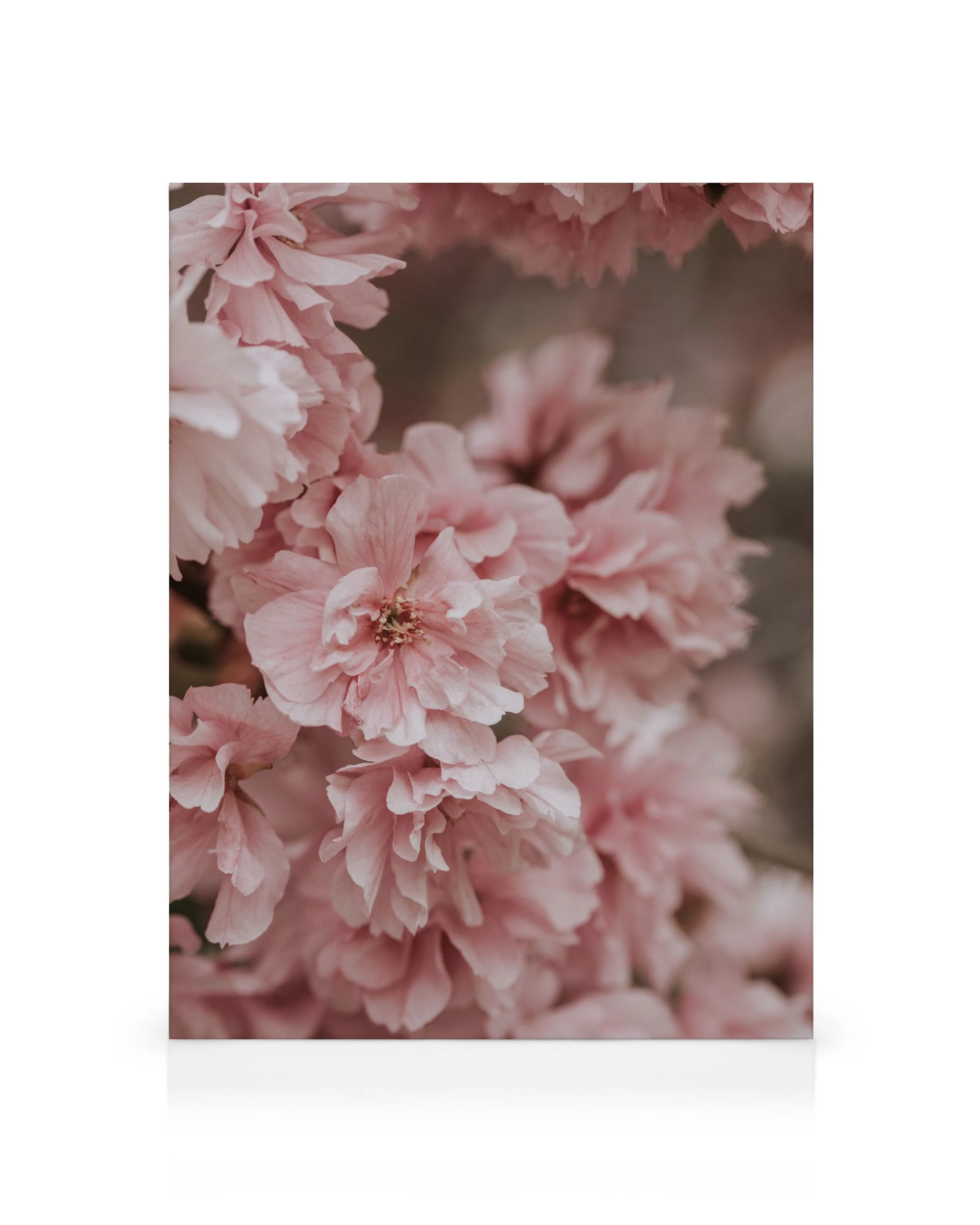 Product image: 1