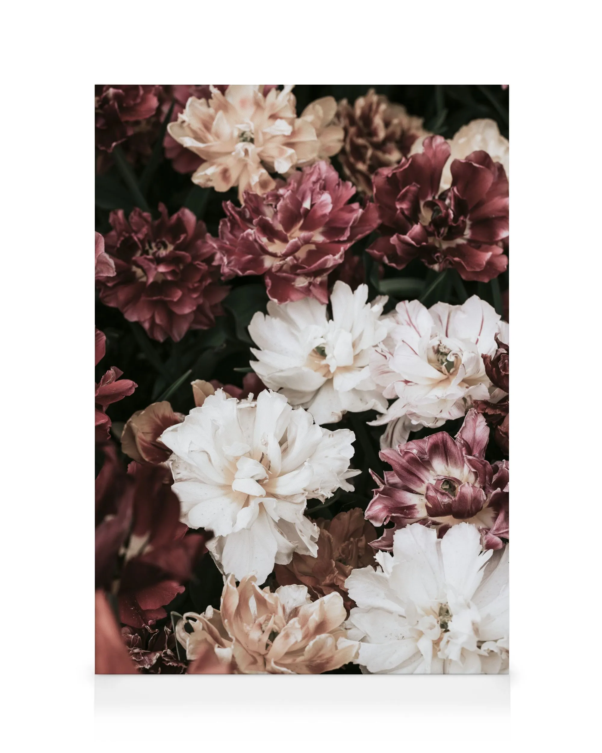Fleurs de Pivoine Toile 0