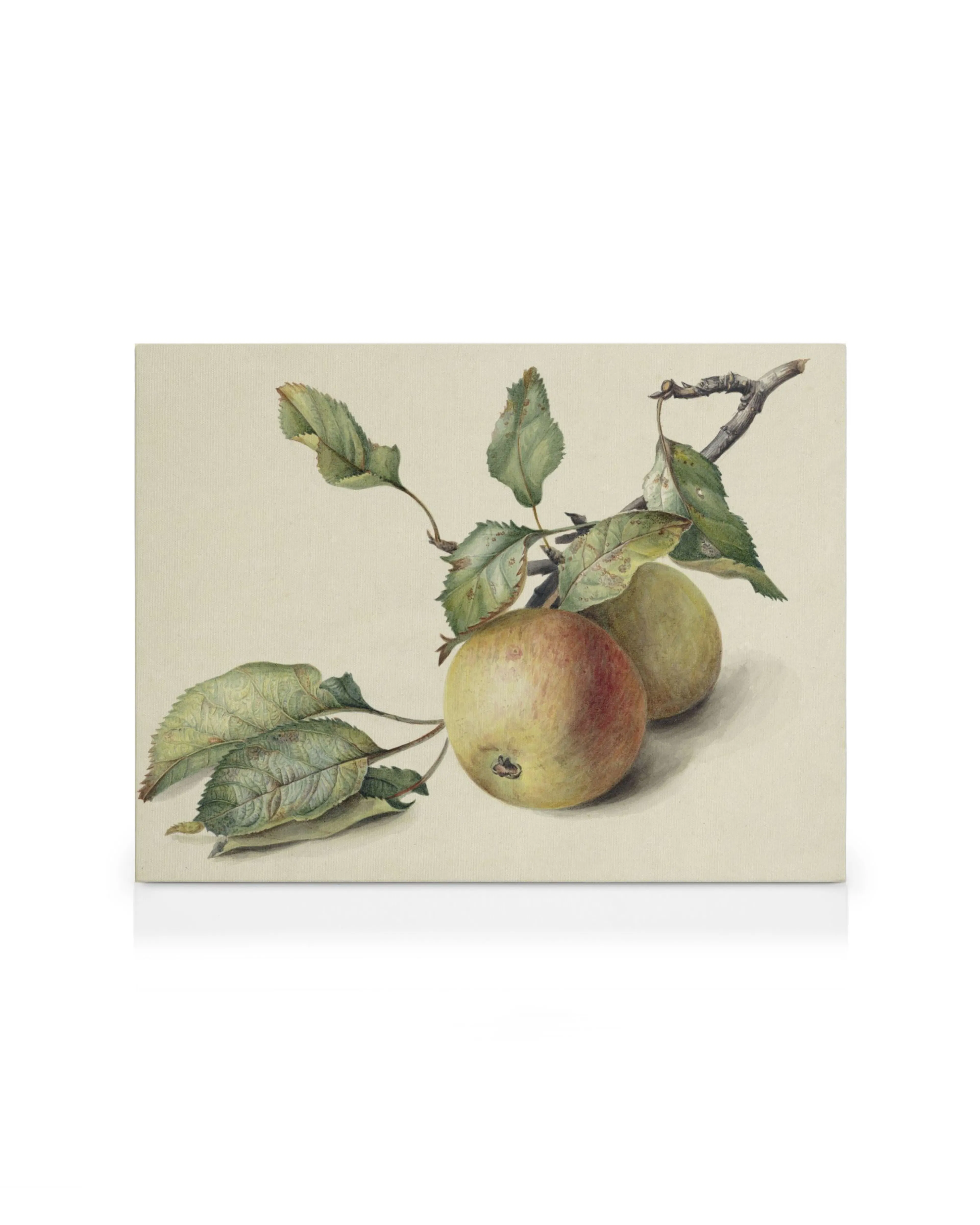 Product image: 1