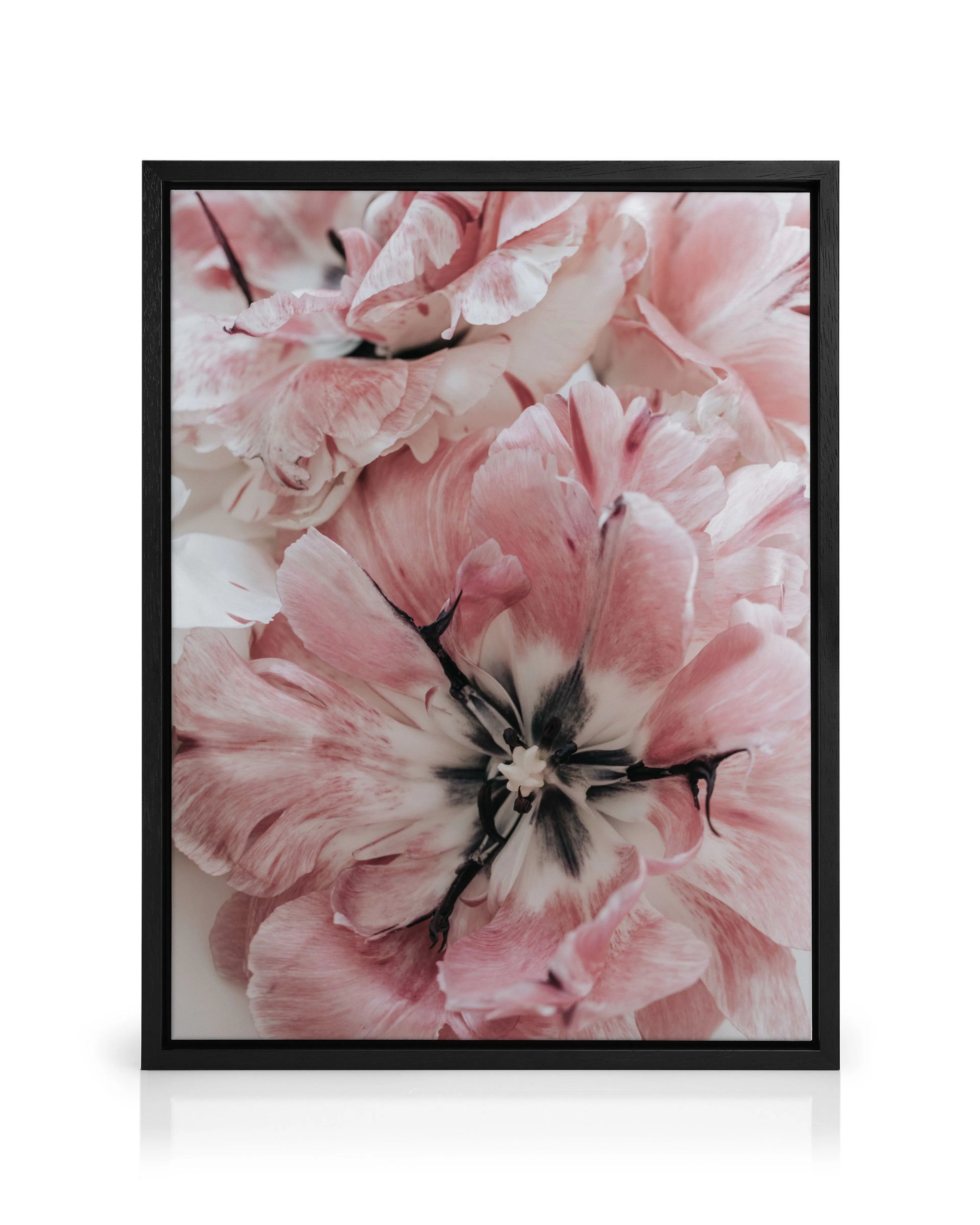 Product image: 1