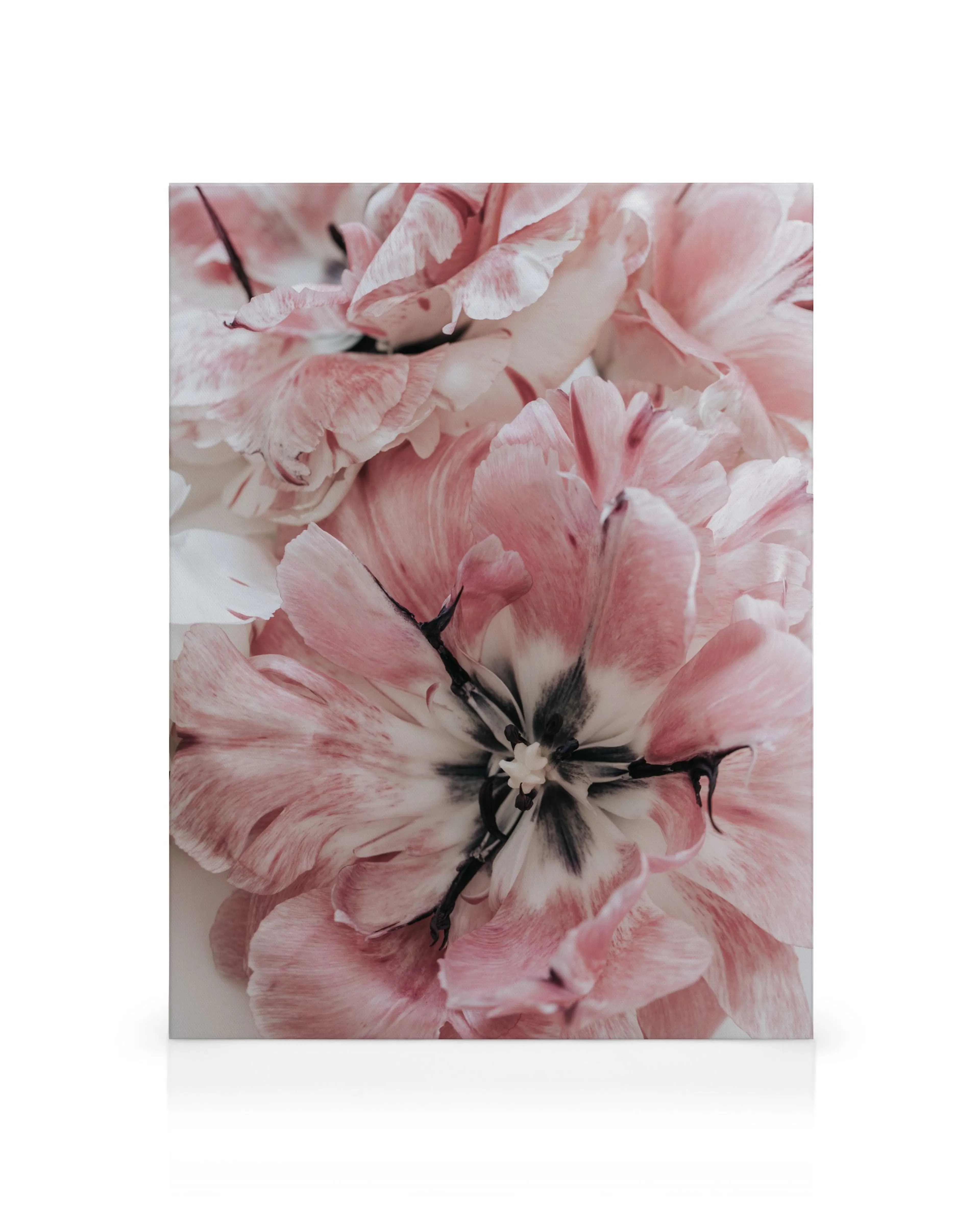 Product image: 1