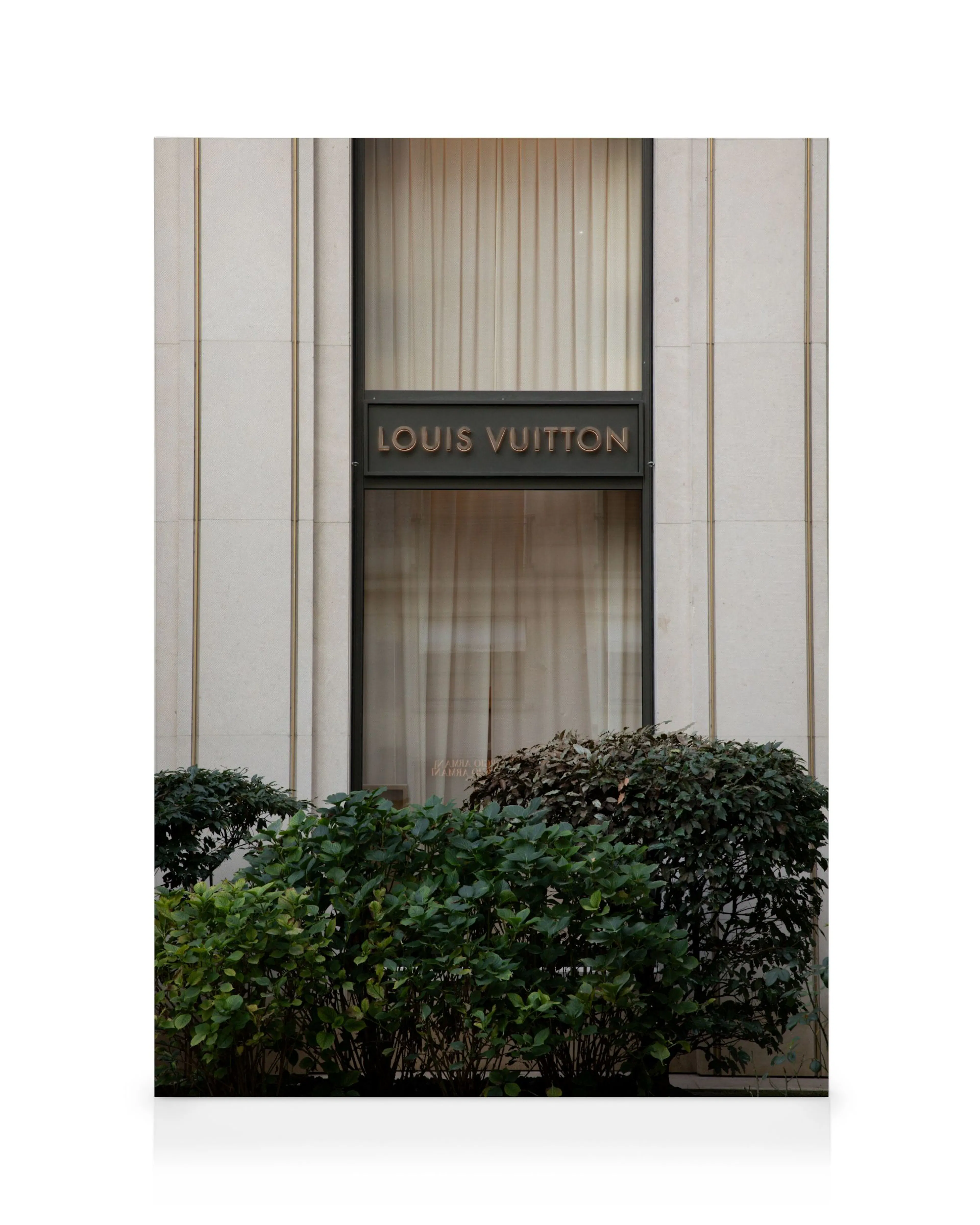 Louis Vuitton Canvas print 0