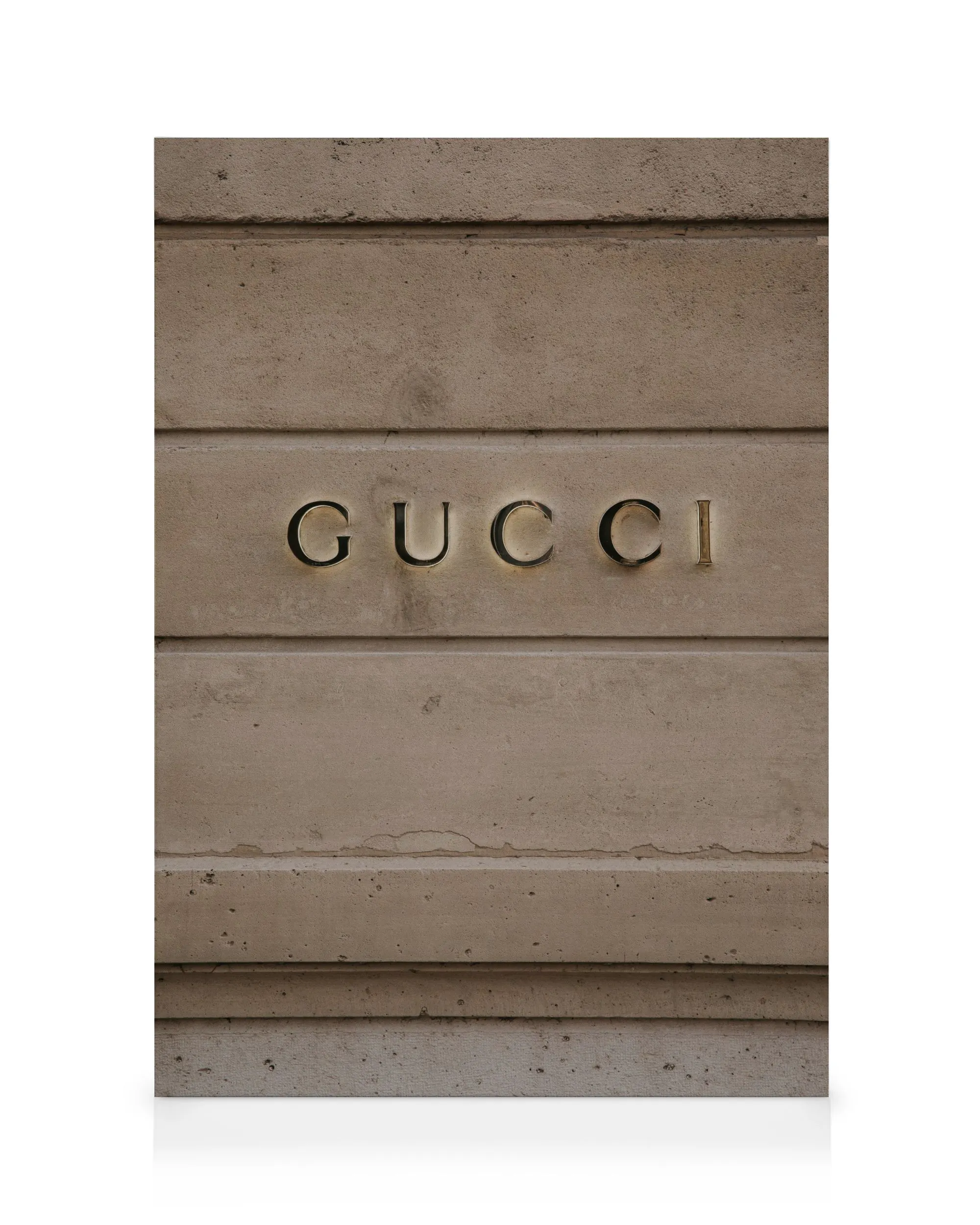 Gucci Logo Toile 0