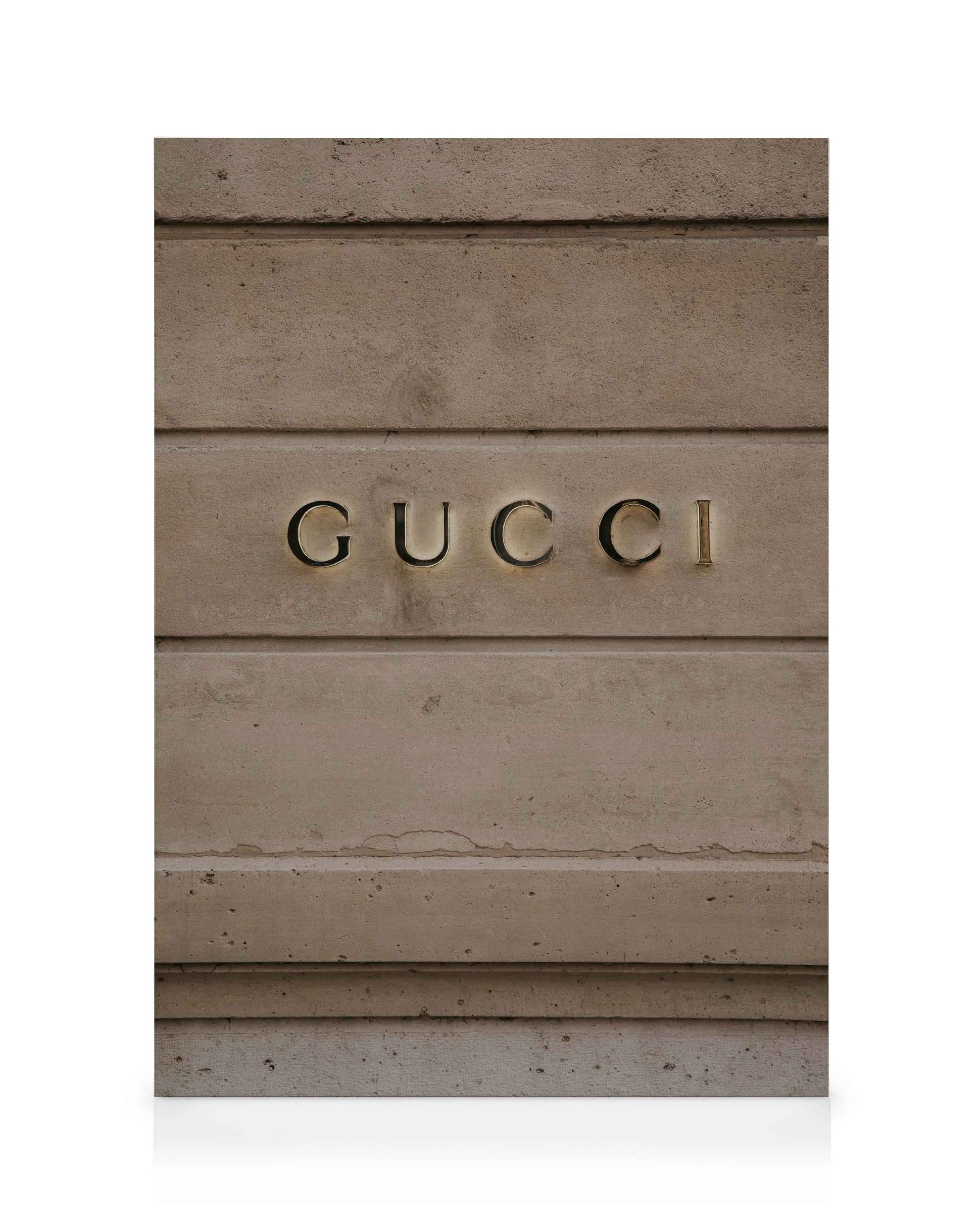 Gucci Logo Toile 0