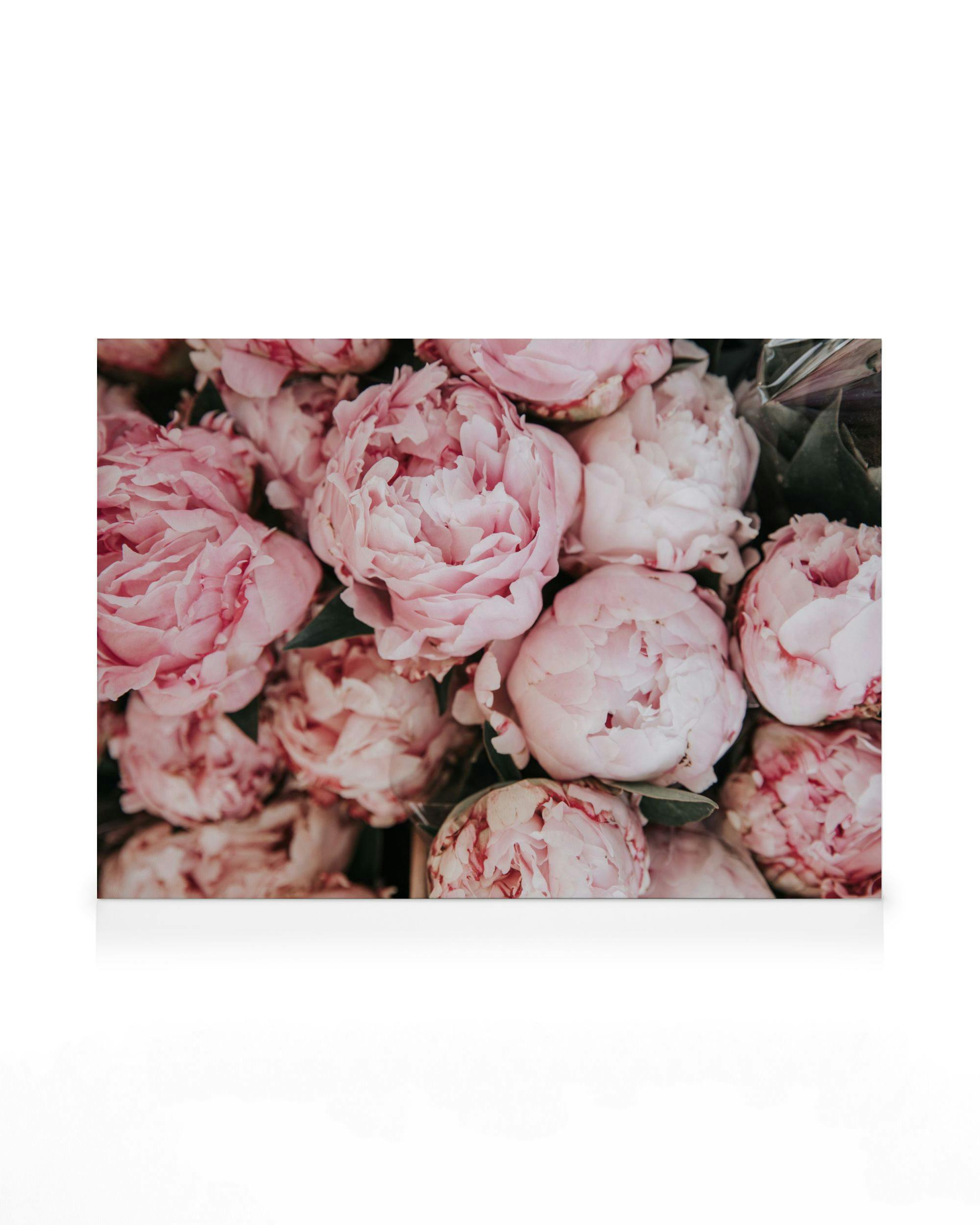 Canvas Prints - Pink Peonies Bouquet Canvas print (30x40 cm) - Poster Store
