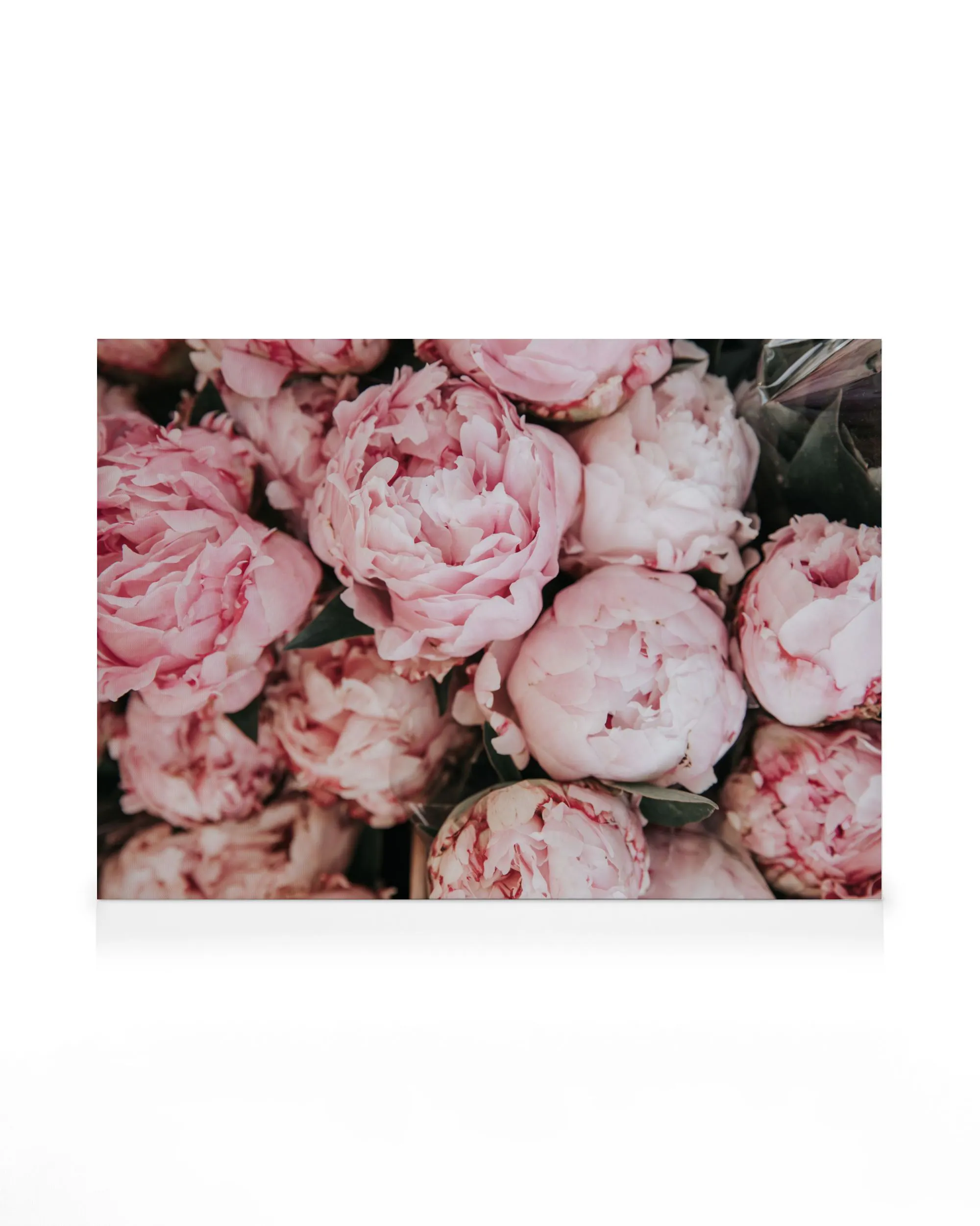 Pink Peonies Bouquet Canvas print 0