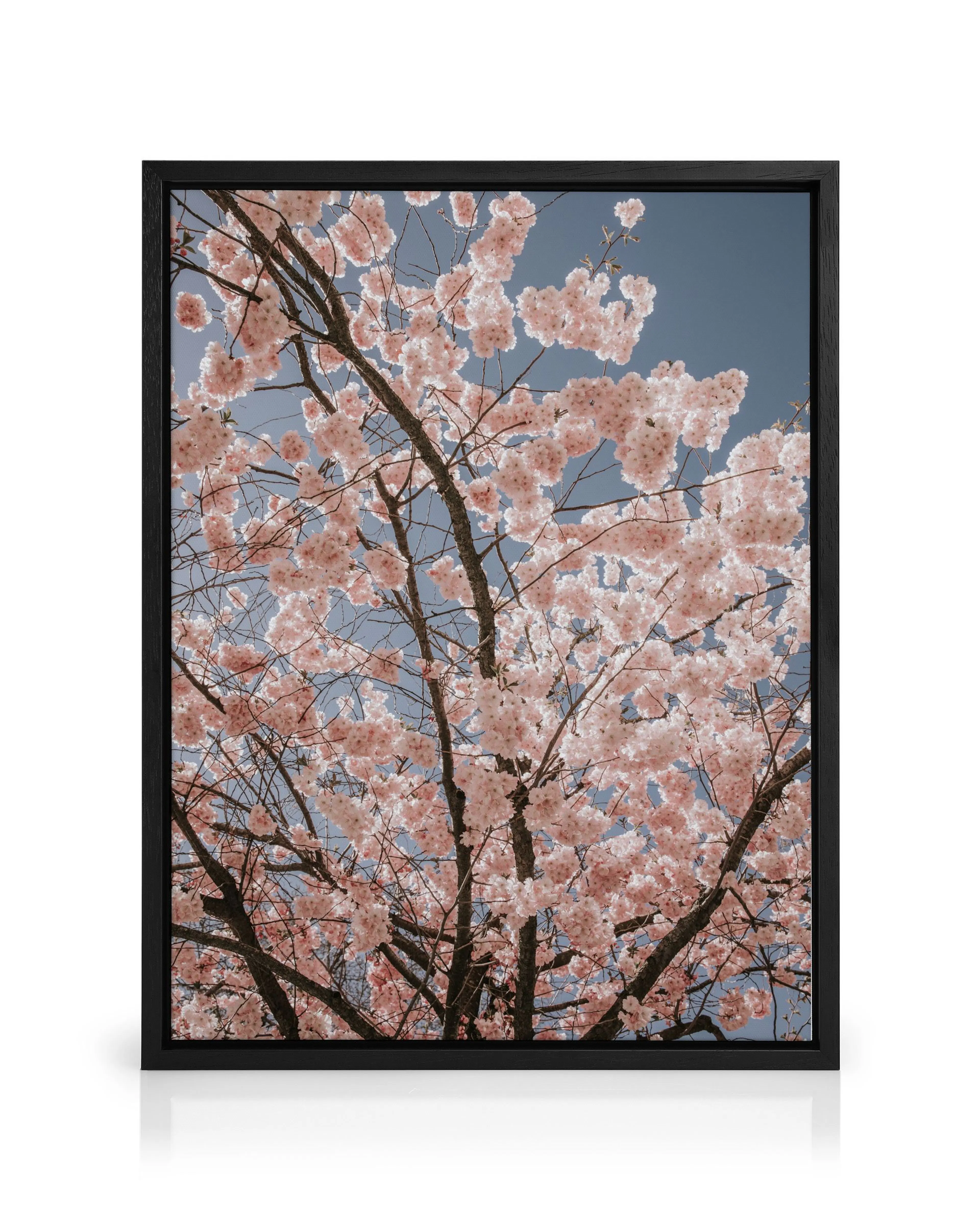 Product image: 1