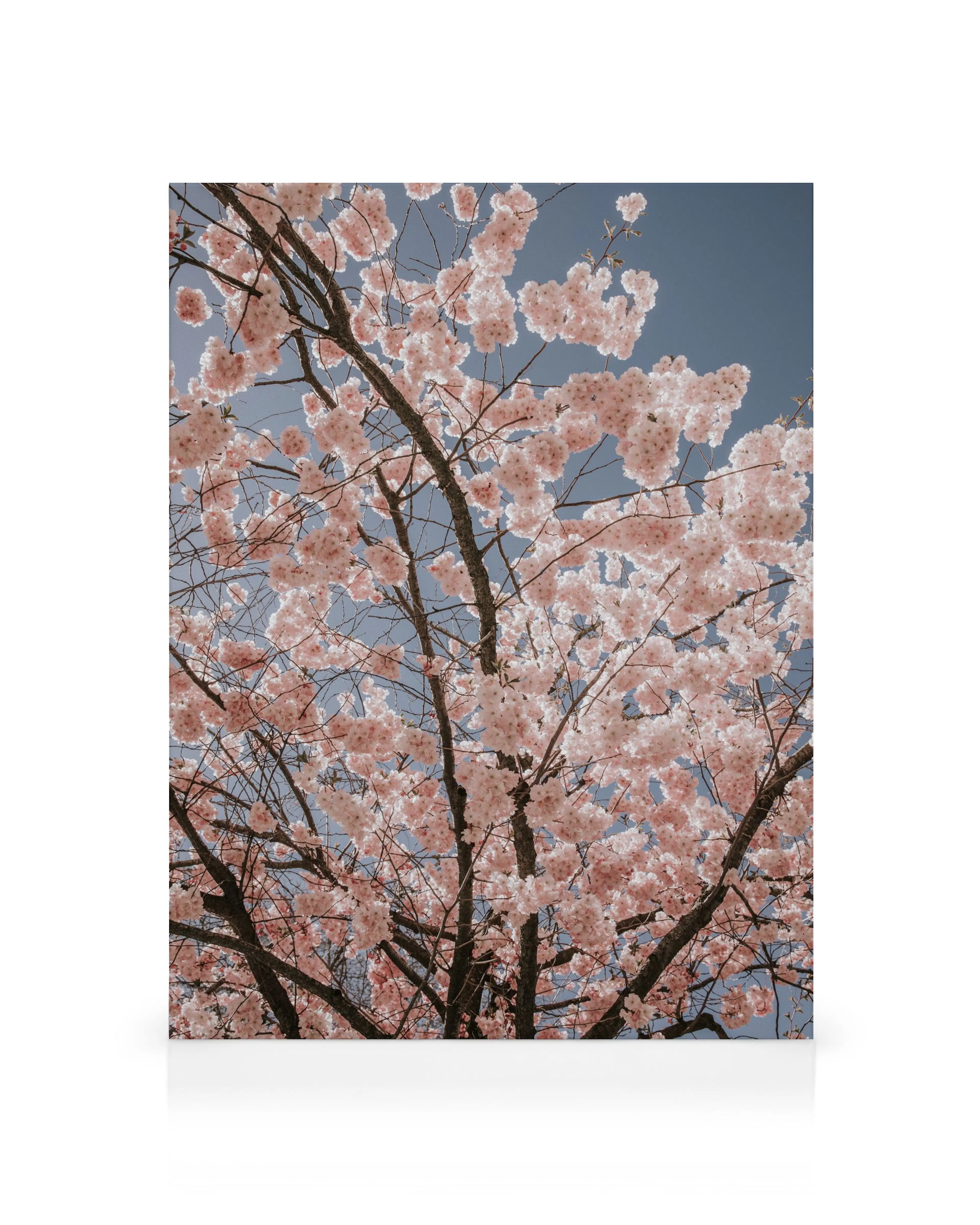 Product image: 1