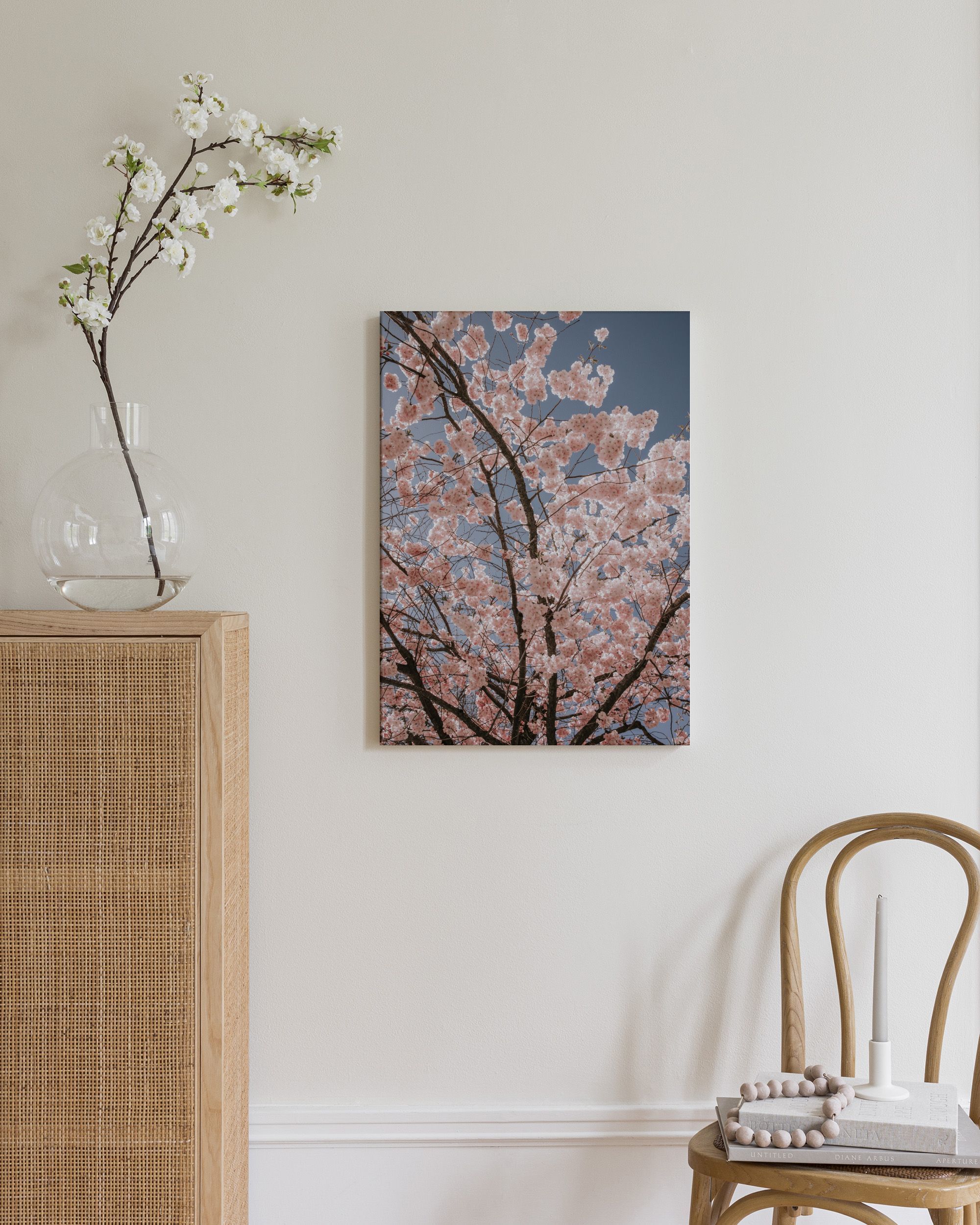 Cherry Blossoms Canvas print