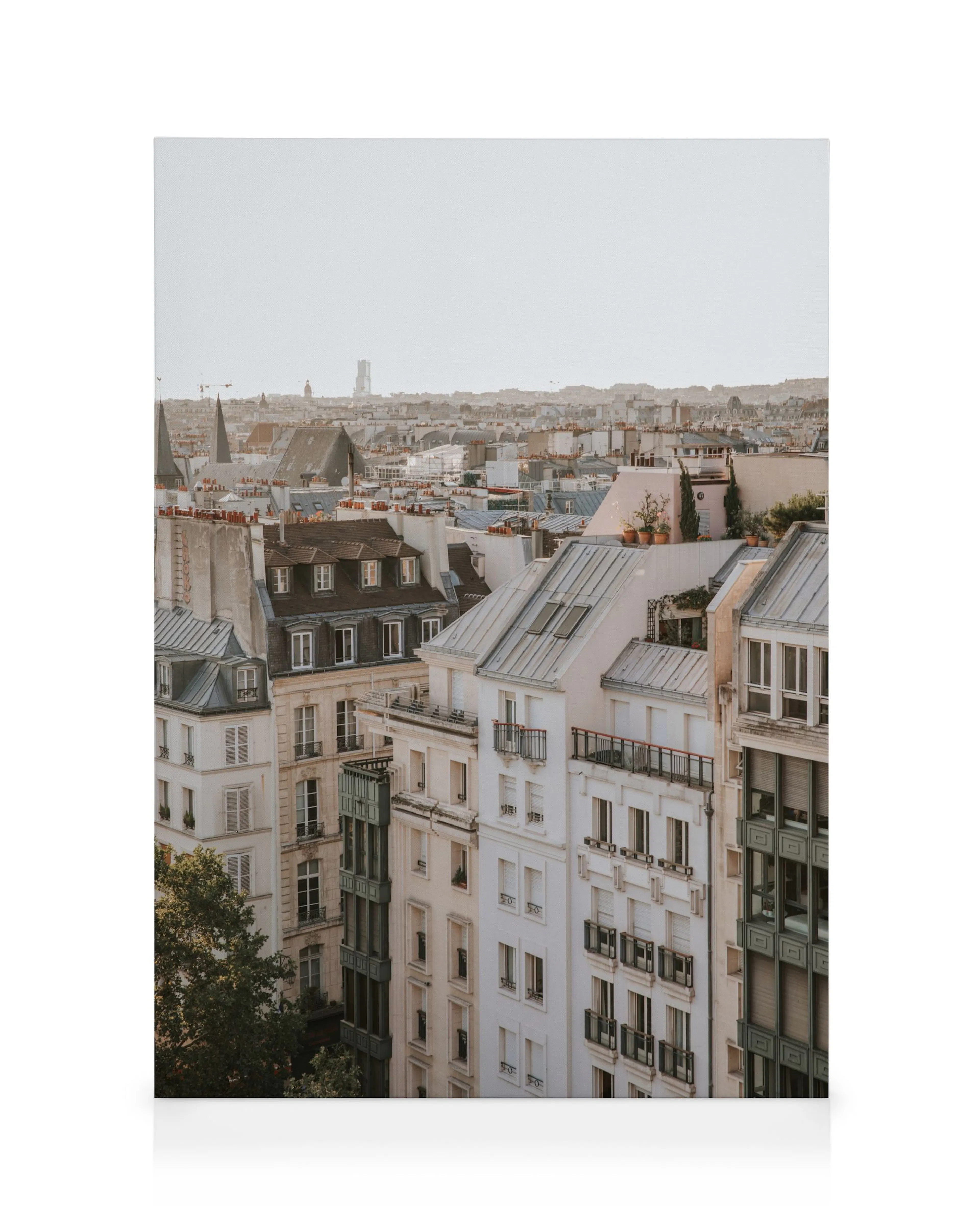 Toits de Paris Toile 0