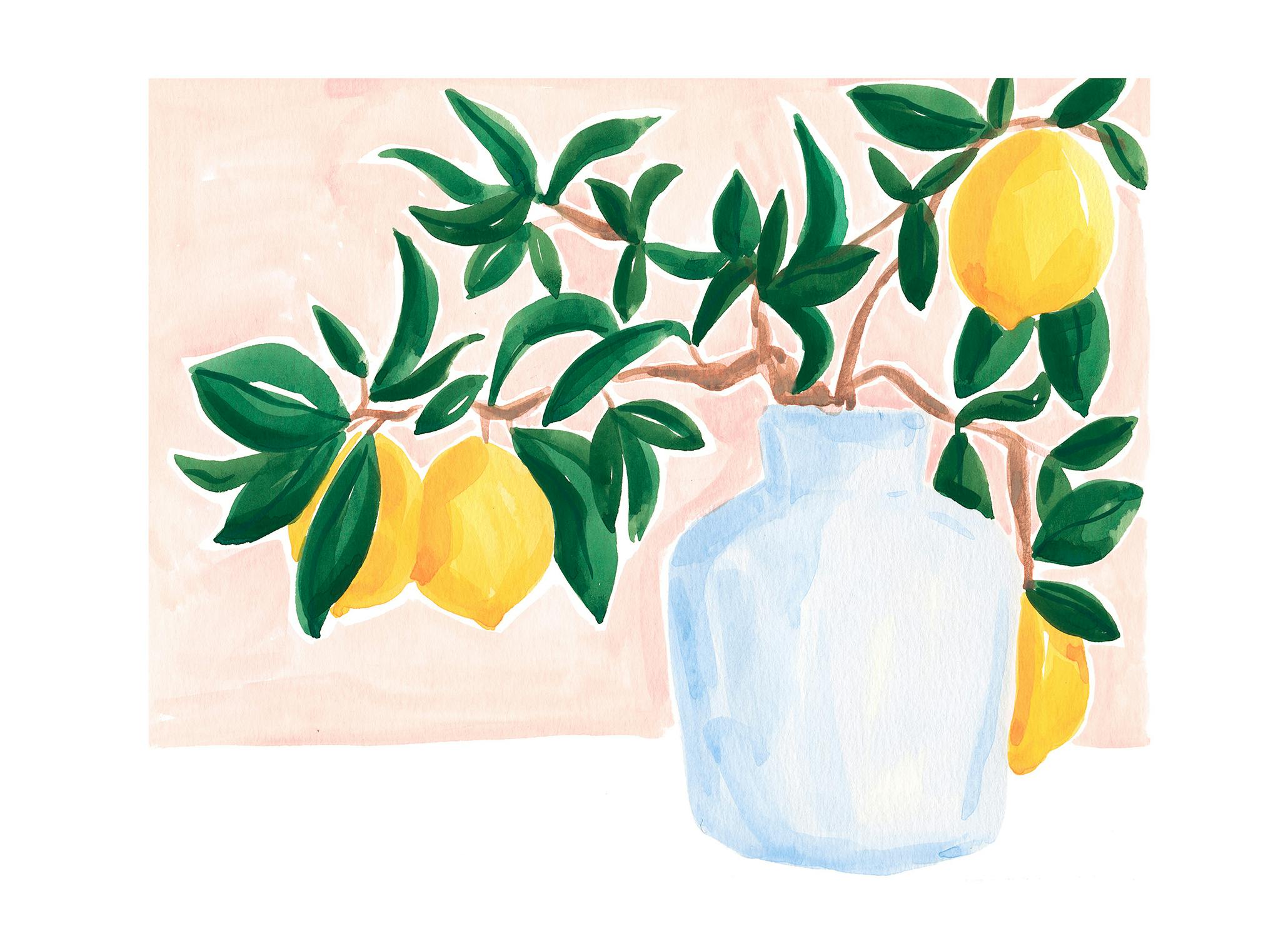 Sabina Fenn - Lemon Vase Poster (50x70 cm) - Poster Store