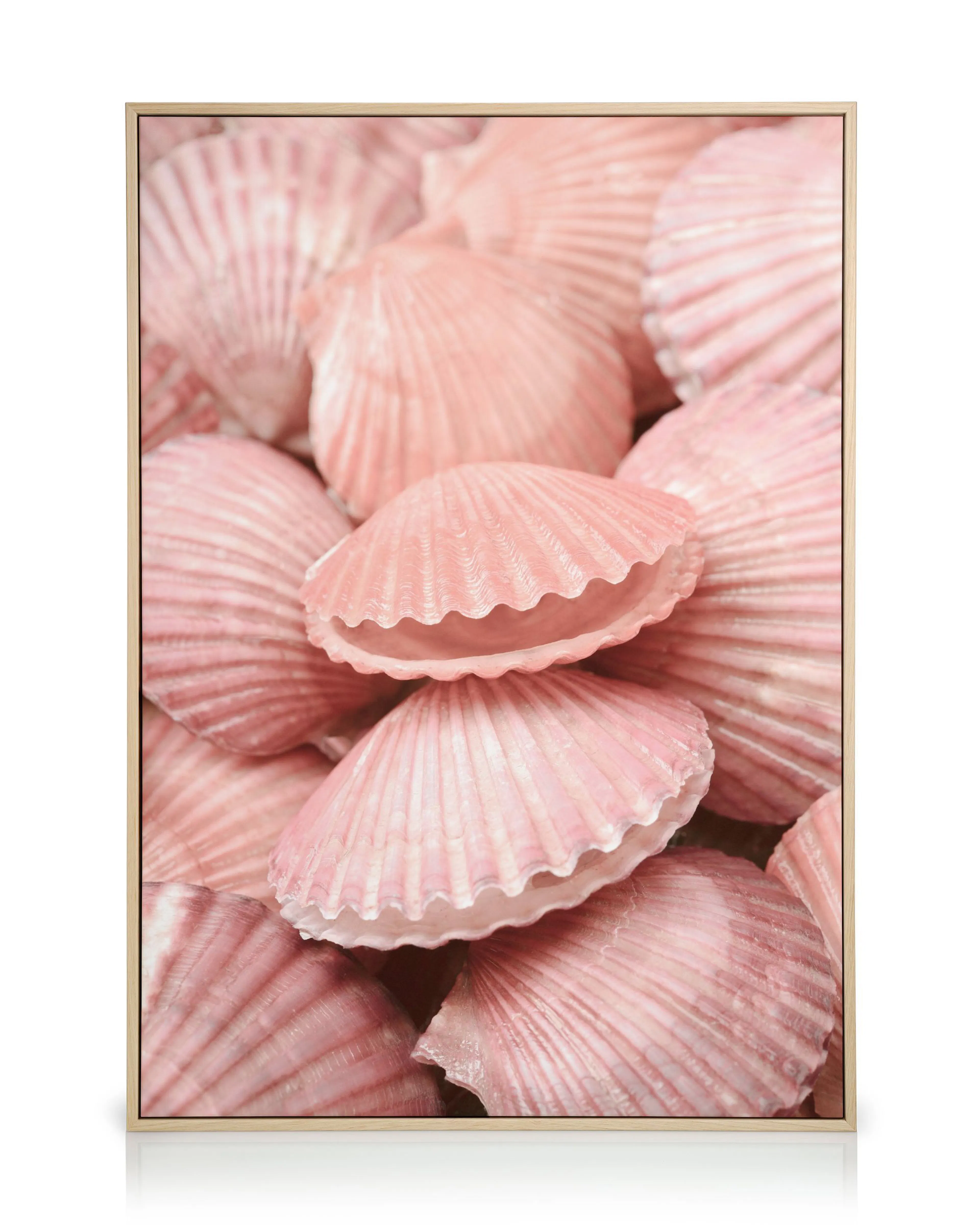 Product image: 1
