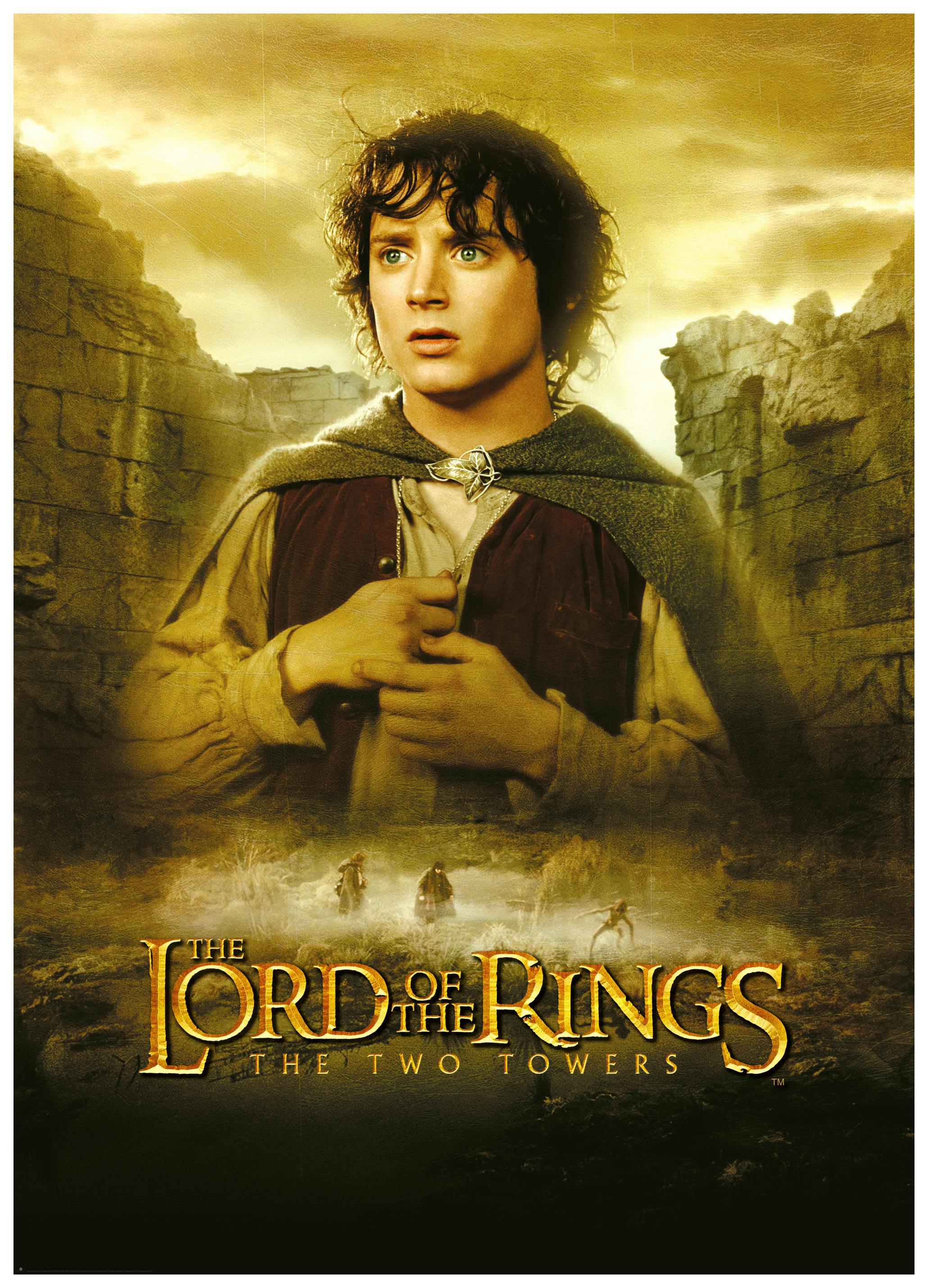 The Lord of the Rings™ - Les Deux Tours Frodo Poster - Poster Store