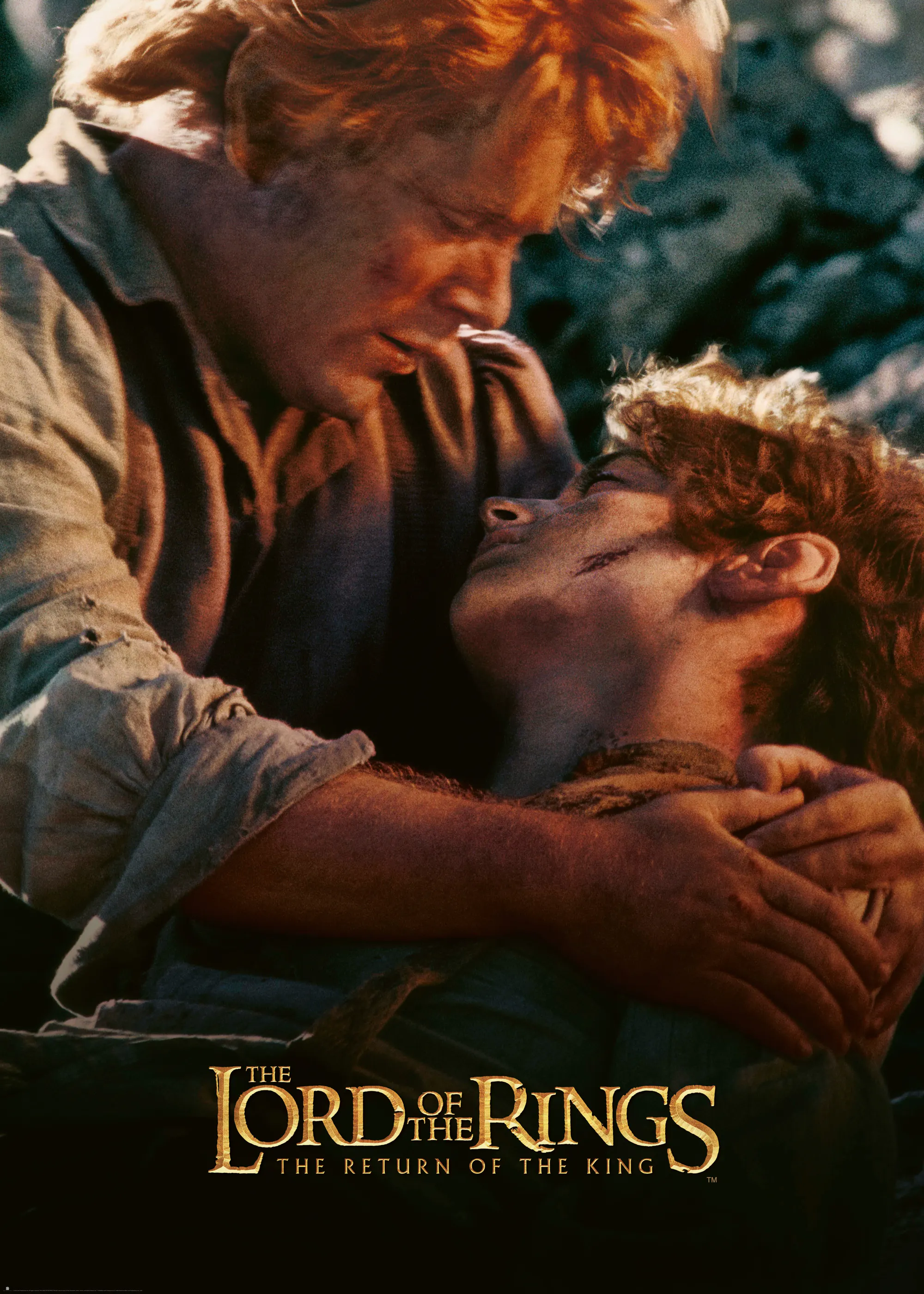 El Señor de los Anillos - El Retorno del Rey Sam Frodo Póster 0