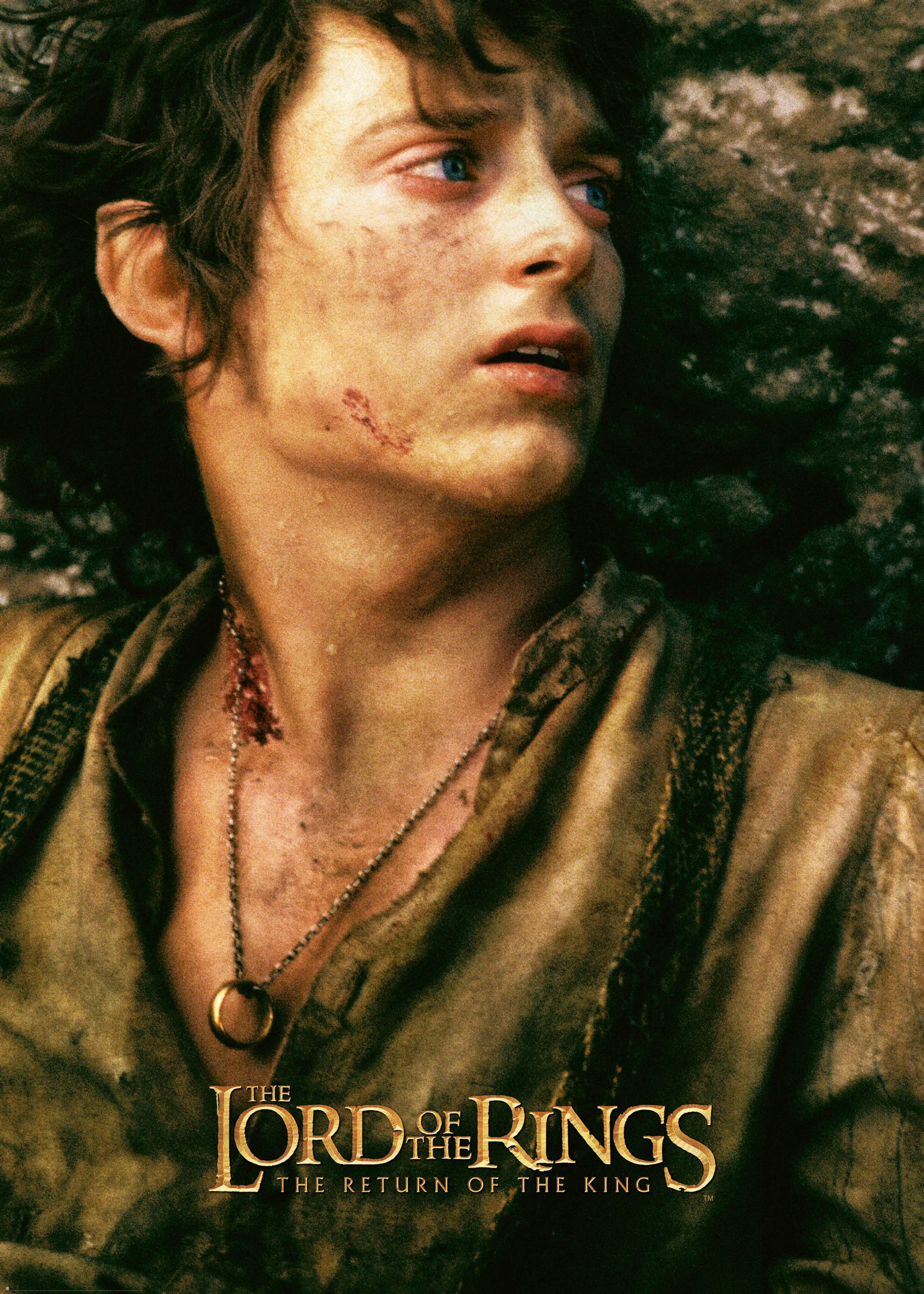 El Señor de los Anillos - El Retorno del Rey Frodo Póster 0