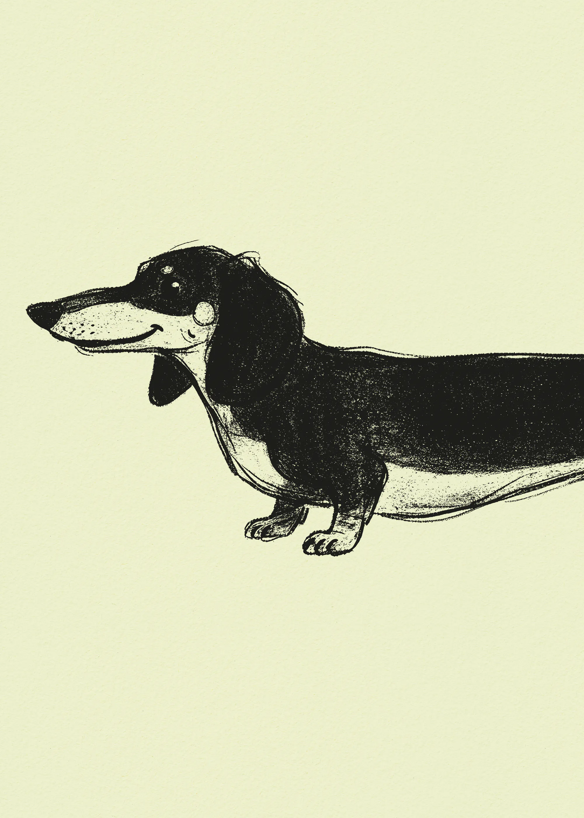 Andreas Magnusson - Perro Salchicha Largo Feliz Póster 0