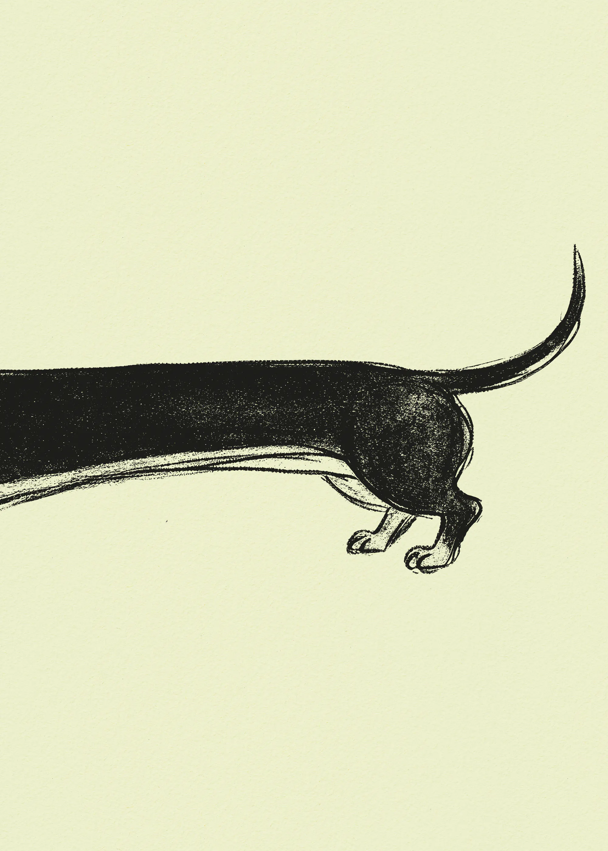Andreas Magnusson - Perro Salchicha Caprichoso Póster 0