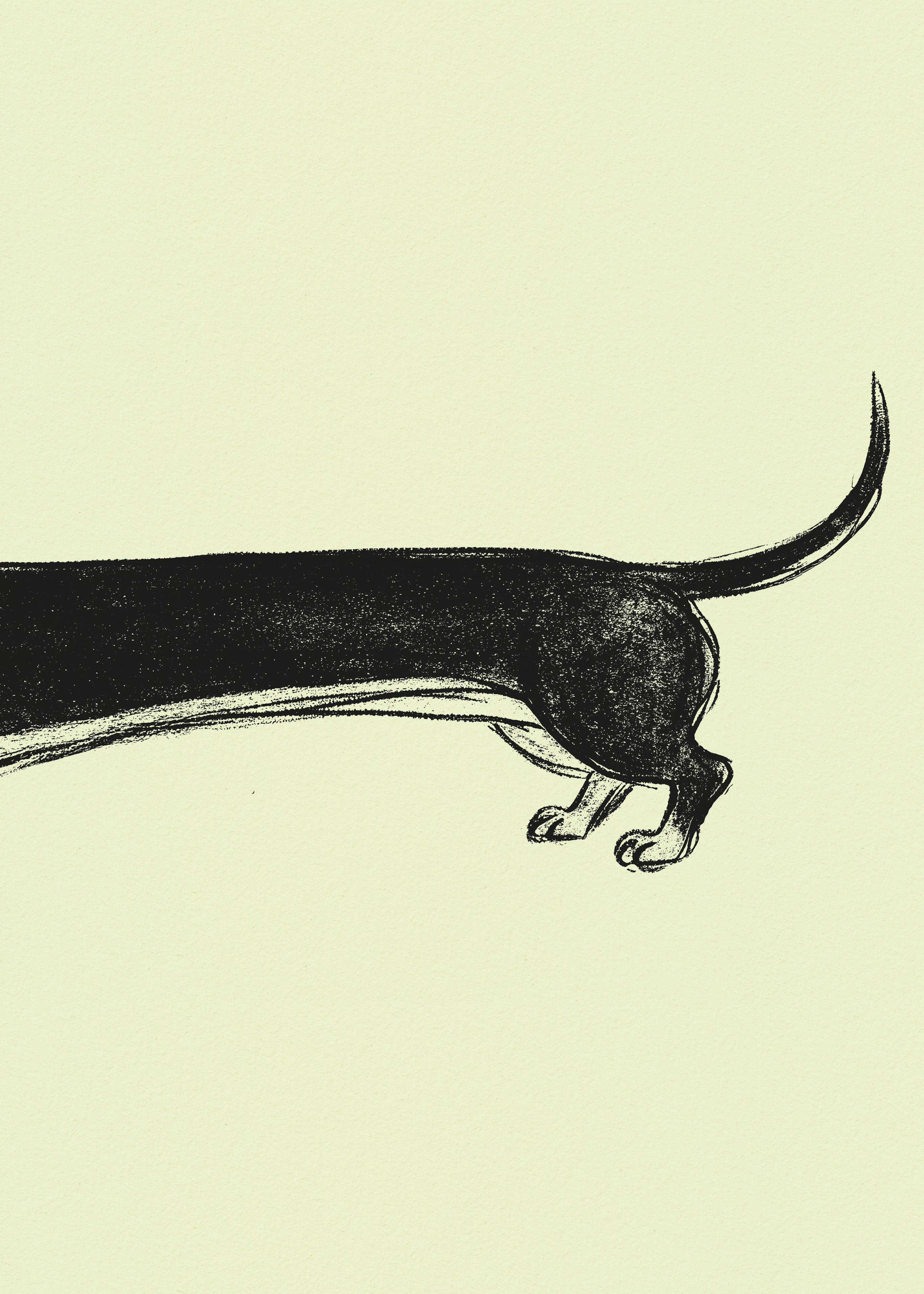 Andreas Magnusson - Perro Salchicha Caprichoso Póster 0