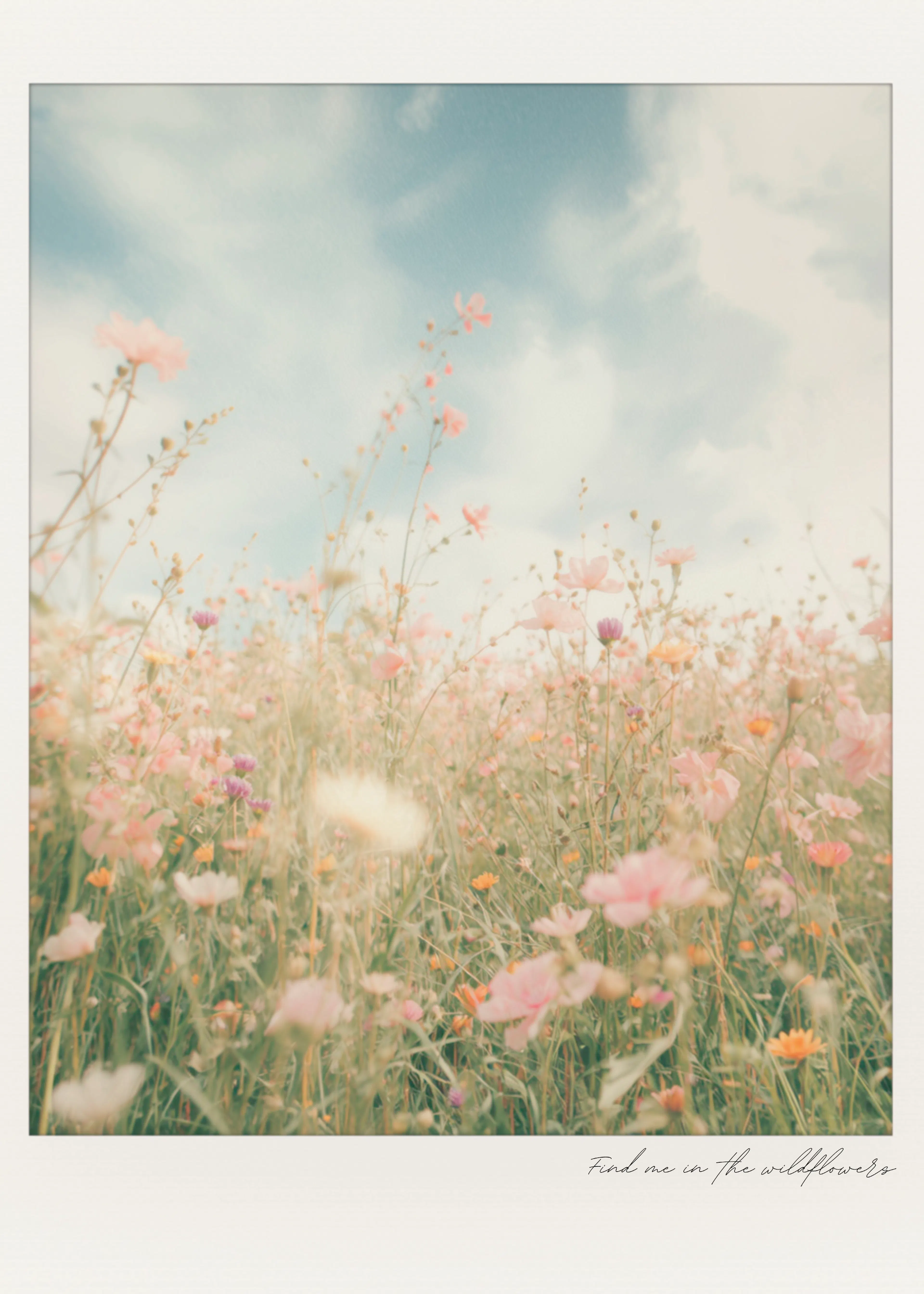 Ohkimiko - Dreamy Wildflower Field Poster 0