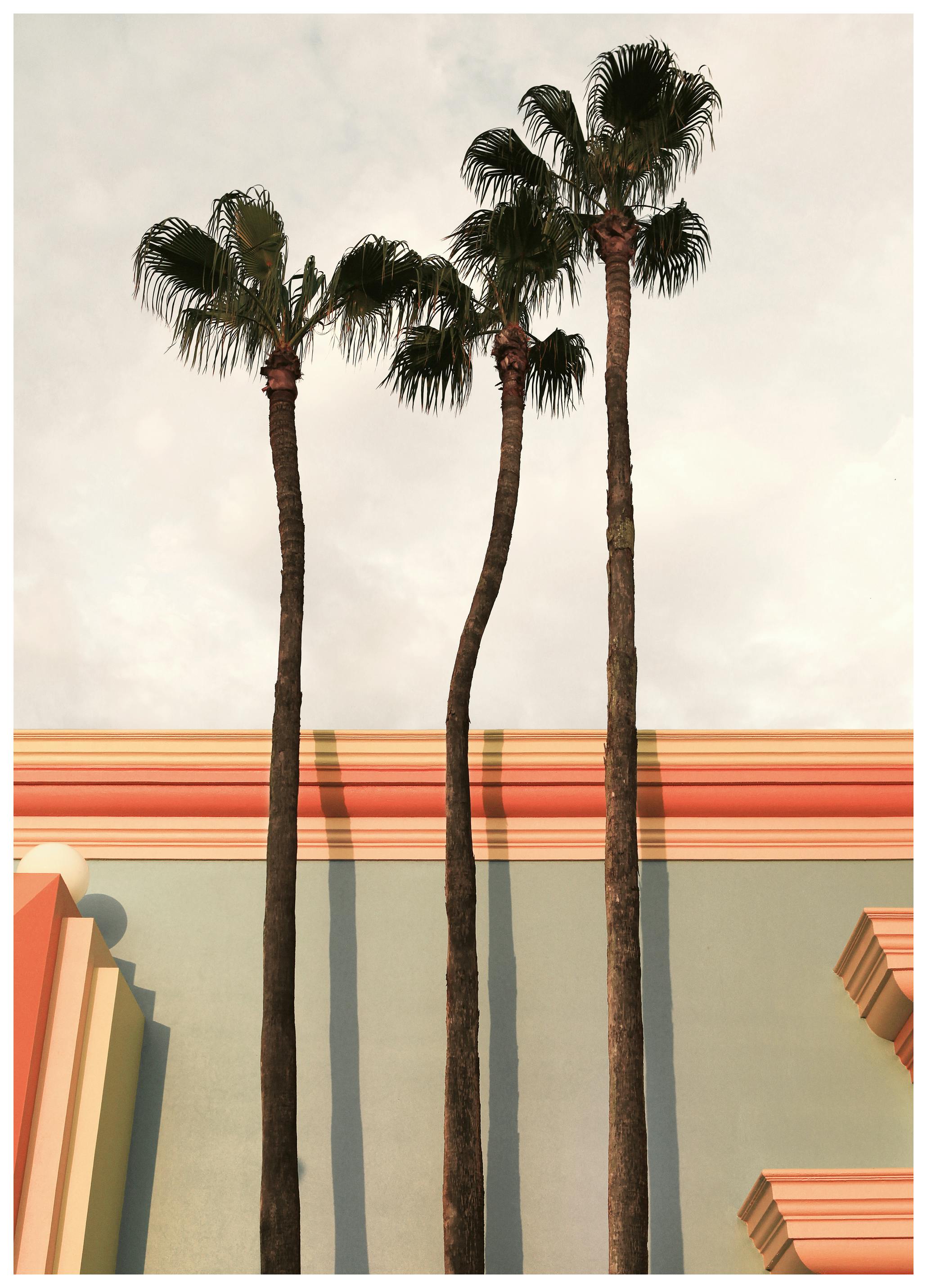 Palmbomen Zonsondergang Poster (100x150 cm) - Poster Store