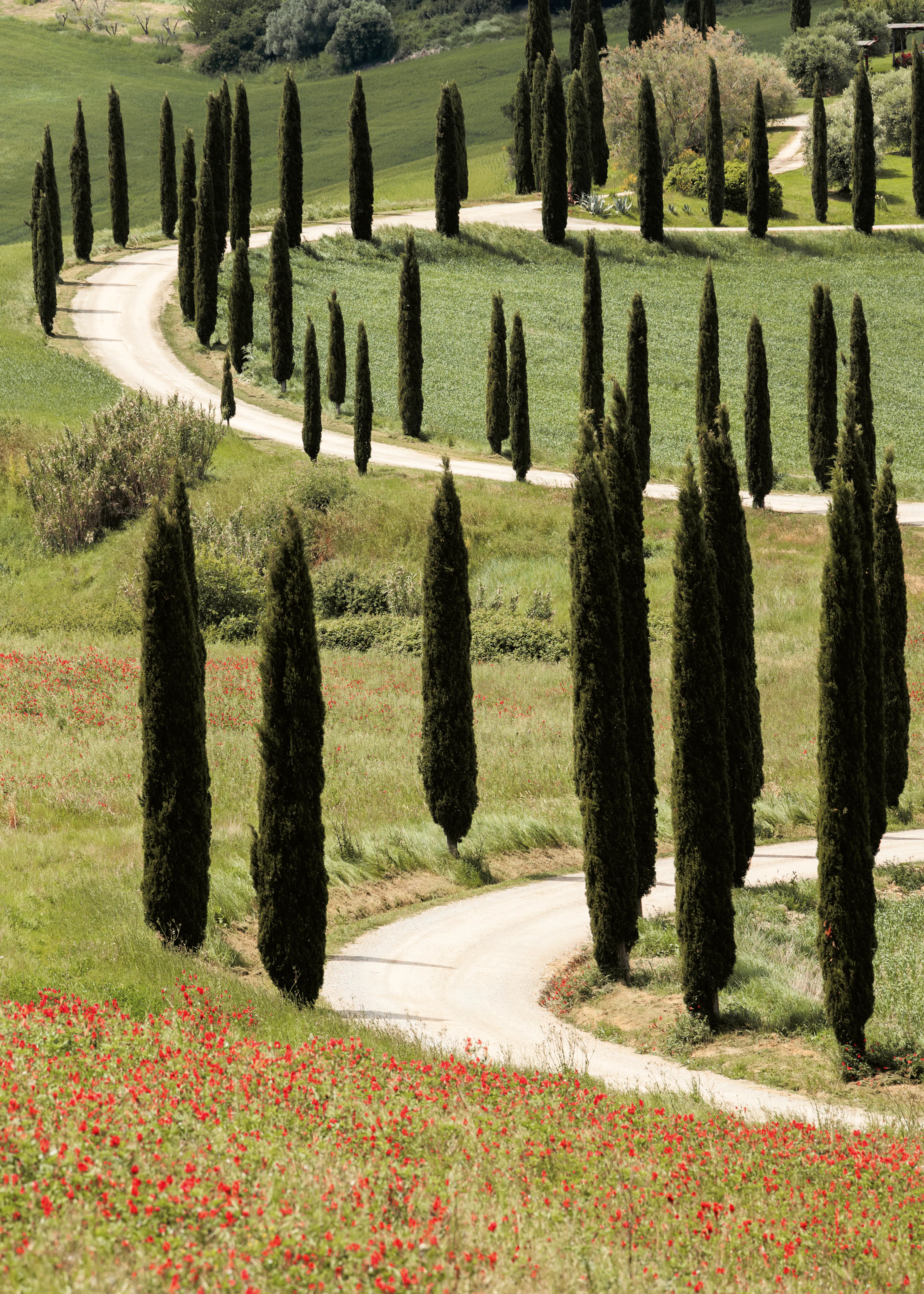 Tuscan Landscape Poster 0