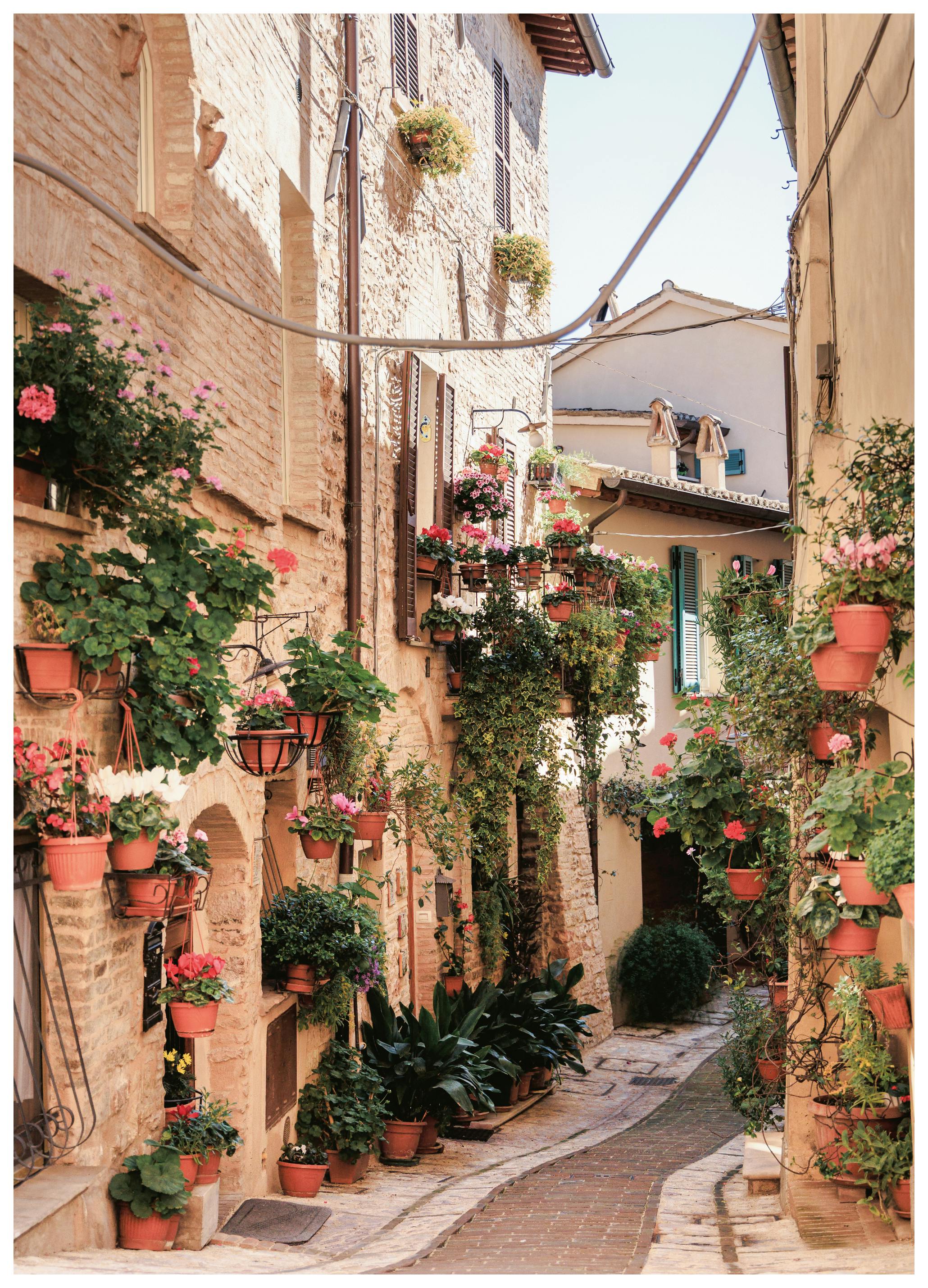 Mediterranean Alley Poster (70x100 cm) - Poster Store