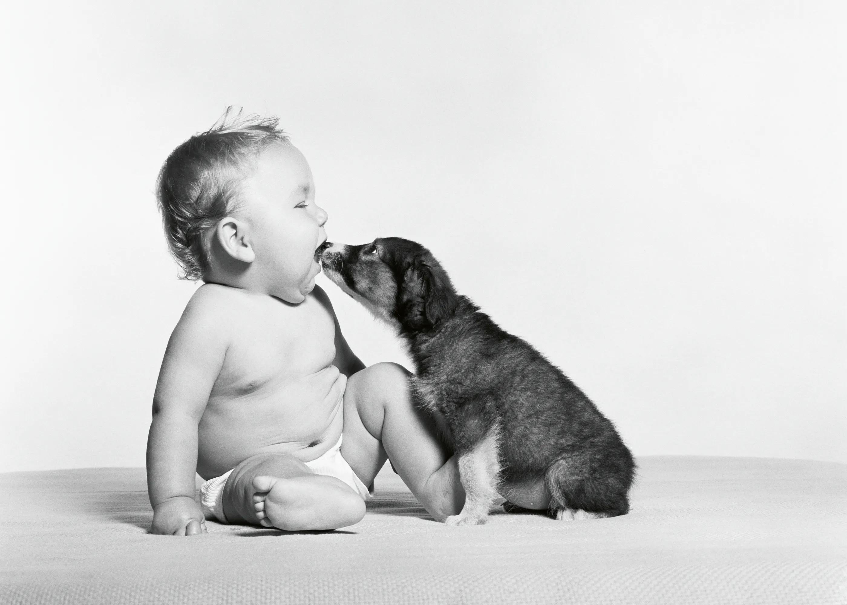 Amistad de Bebé y Cachorrito Póster 0