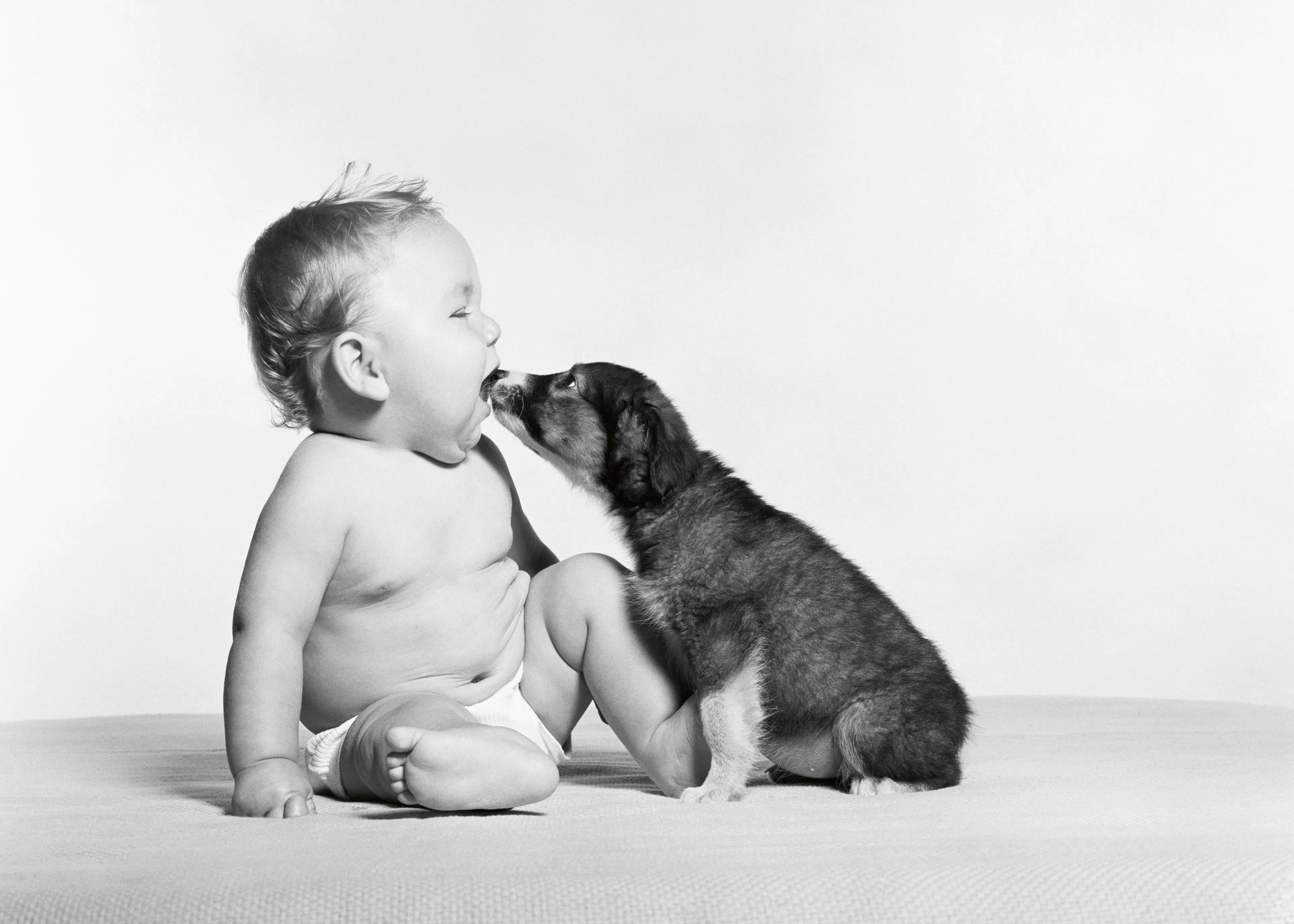 Amistad de Bebé y Cachorrito Póster 0