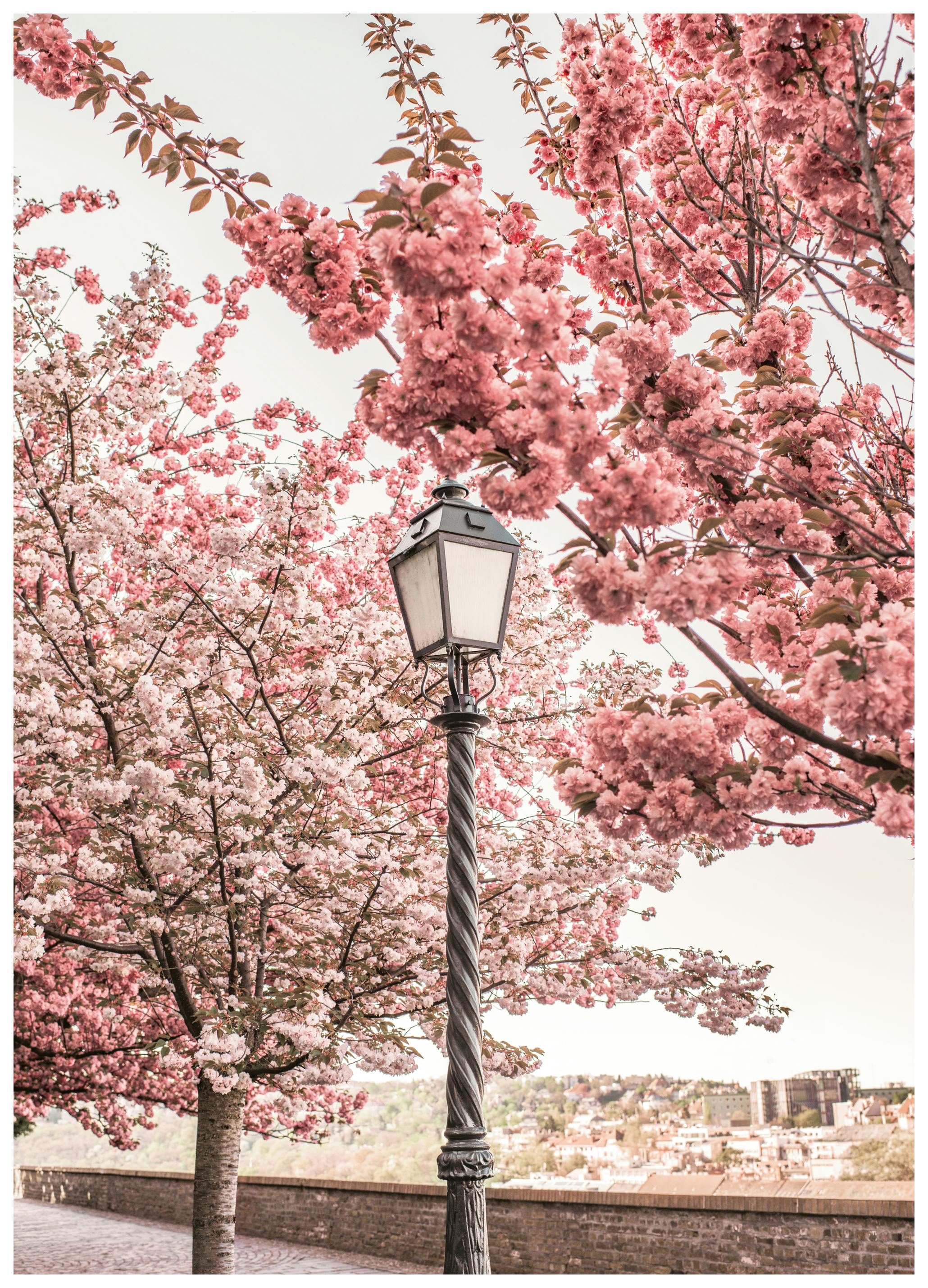 Spring Street Poster (13x18 cm) - Poster Store
