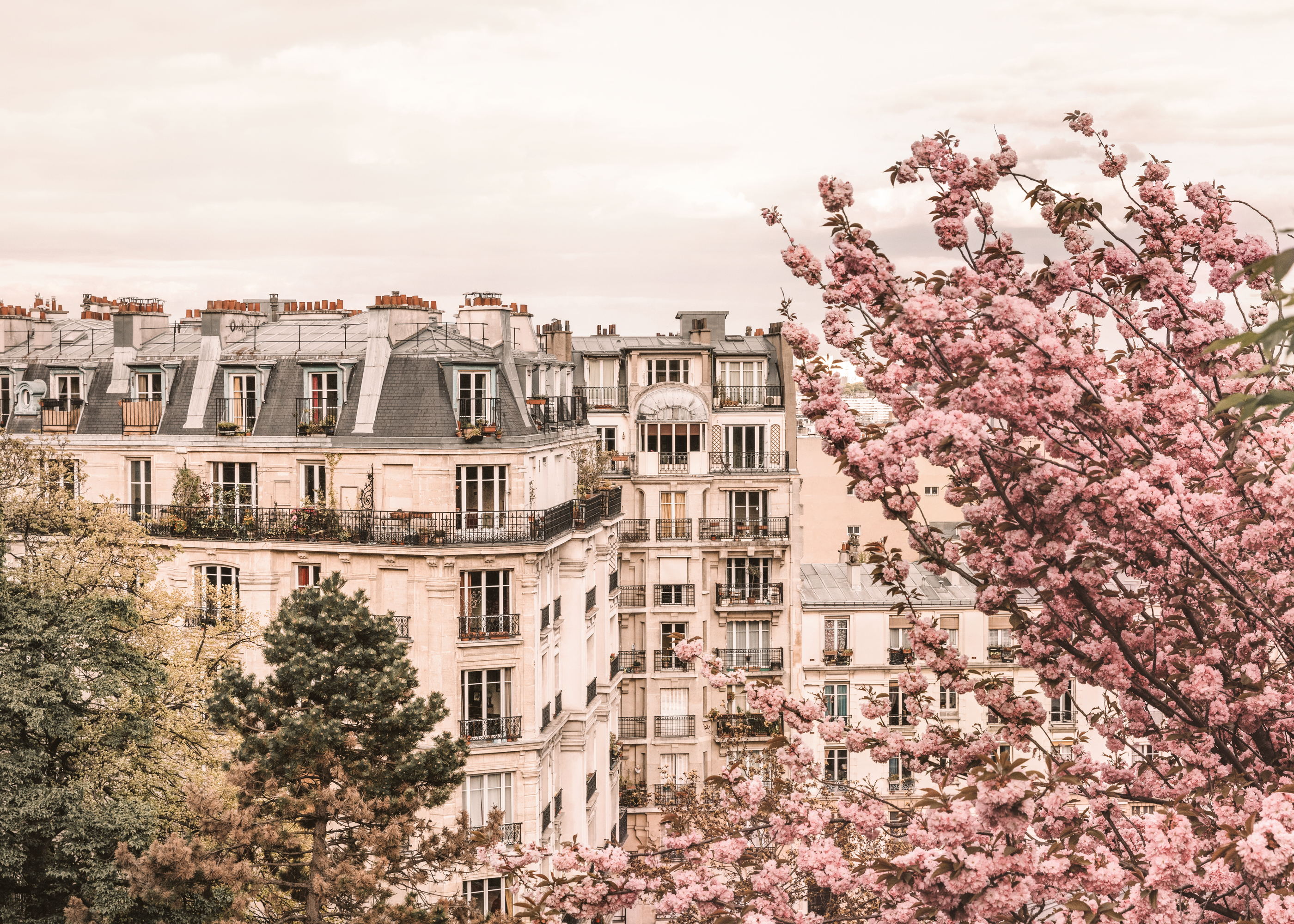 Shop Stylish Posters - Buy Prints at Poster Store - Page 249