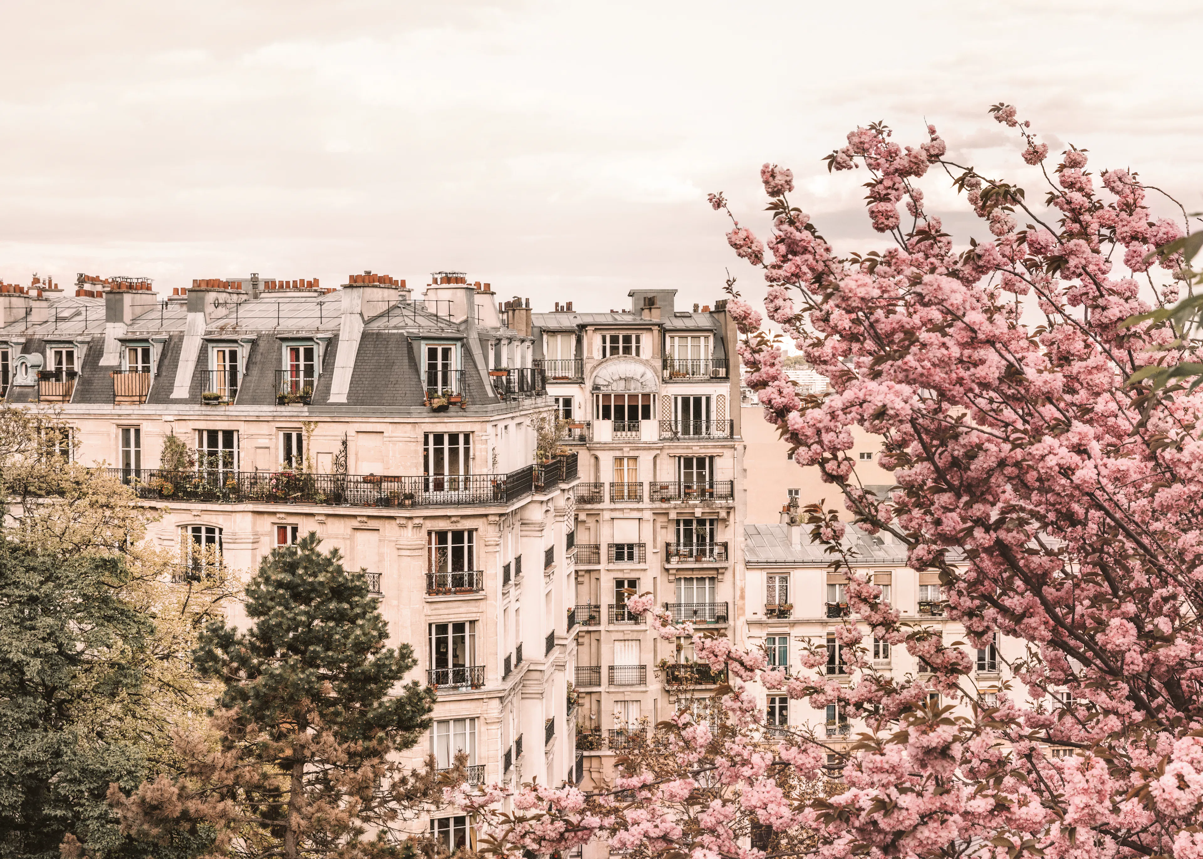 Paris Spring Poster 0