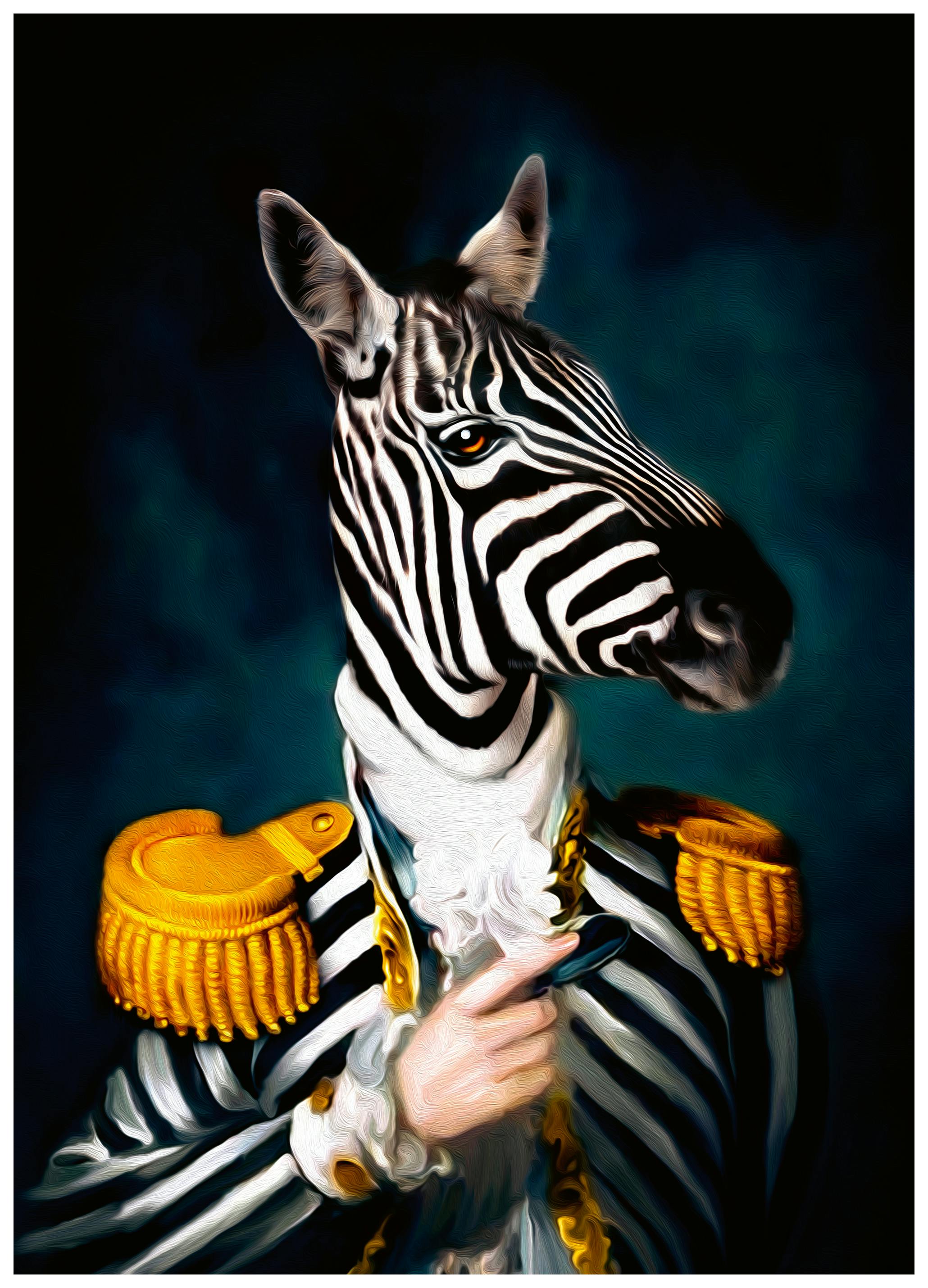Tein Lucasson - Meneer Streep Poster (100x150 cm) - Poster Store