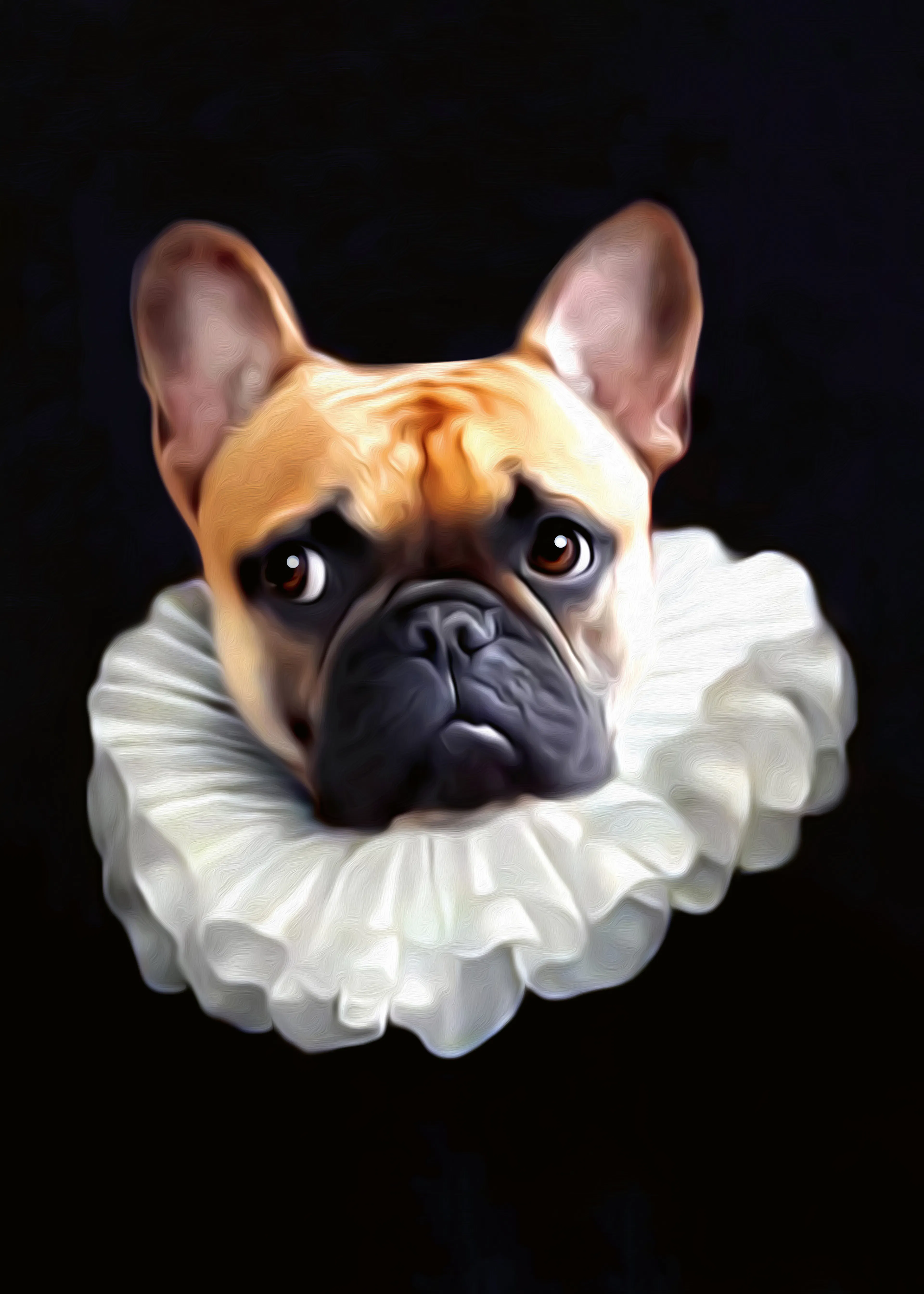 Tein Lucasson - Pipo Póster 0