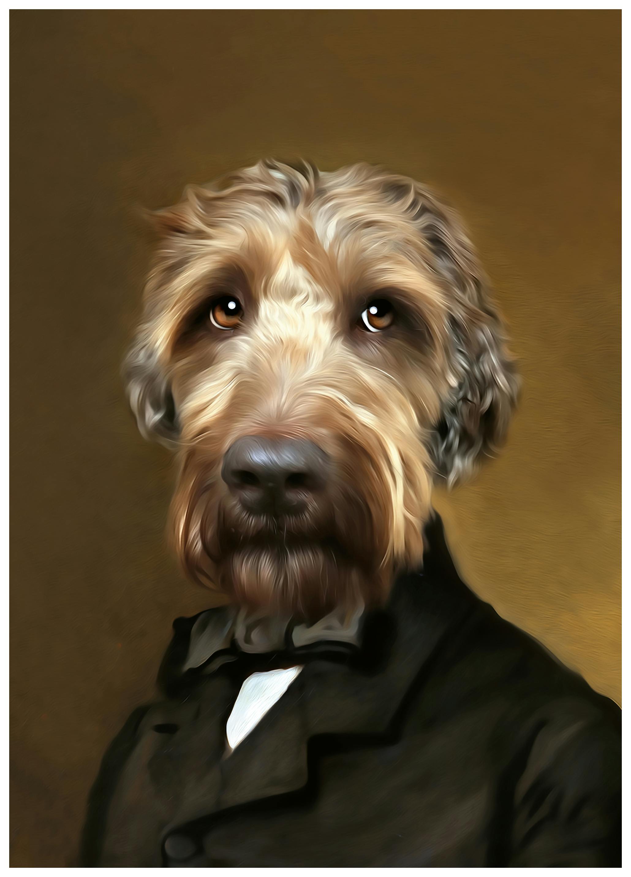 Tein Lucasson - Ventje Poster (50x70 cm) - Poster Store