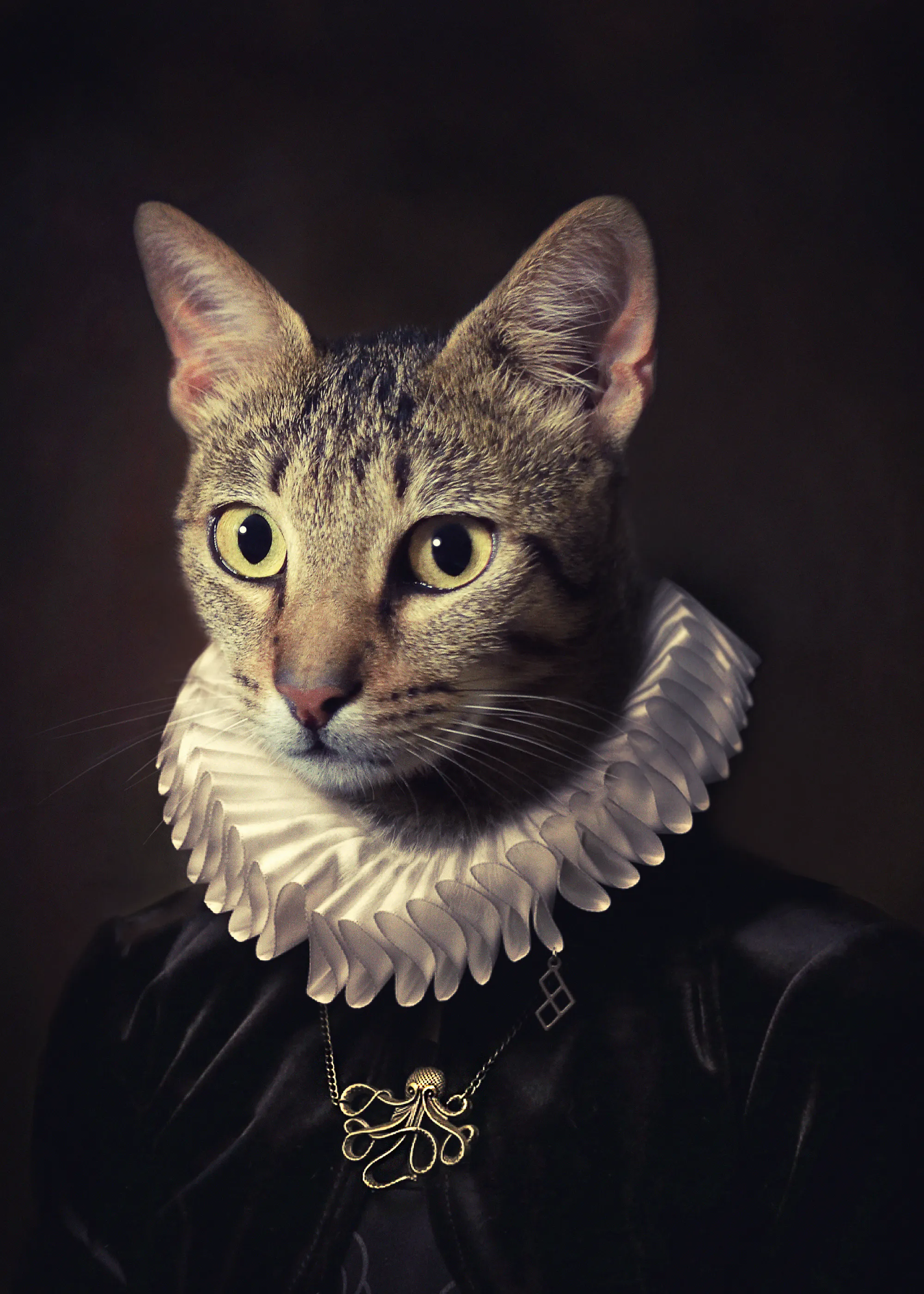 Paulo Dias - Retrato de Gato Majestuoso Póster 0