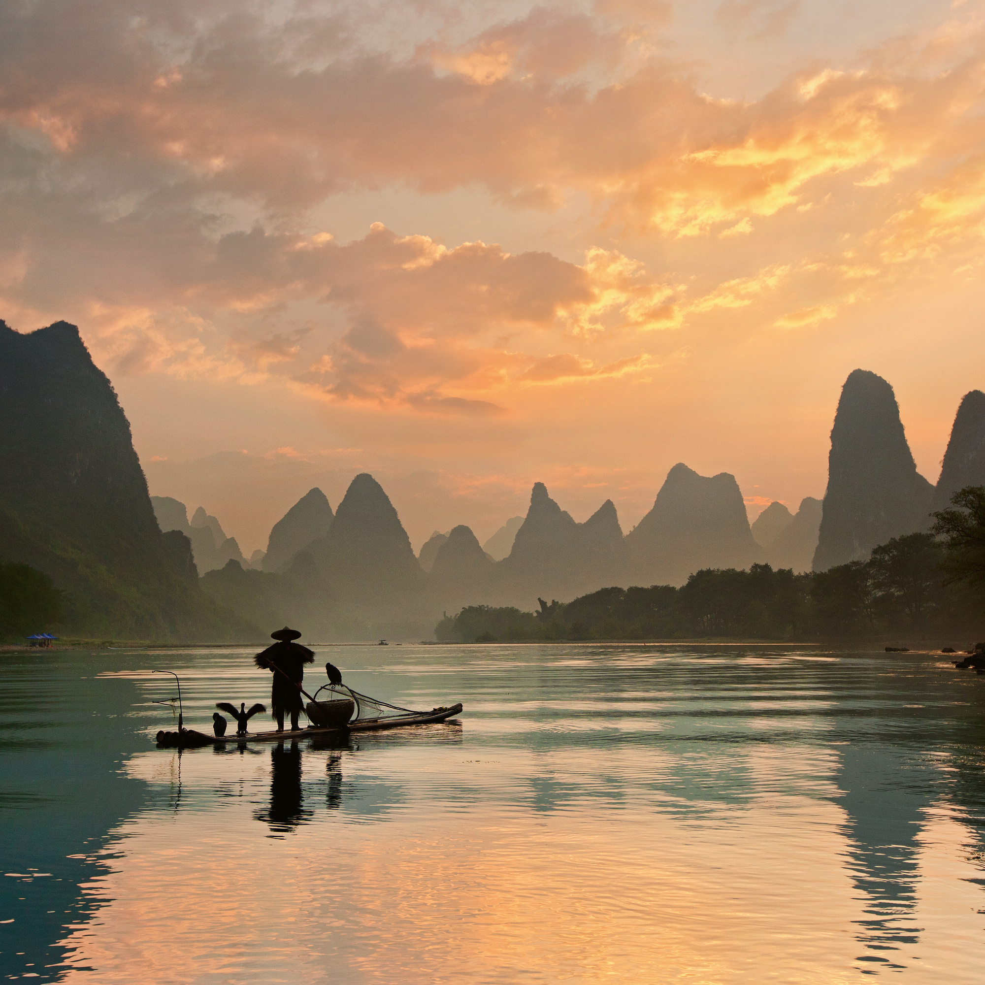 Yan Zhang - Cormorant Fishing Golden Hour Print