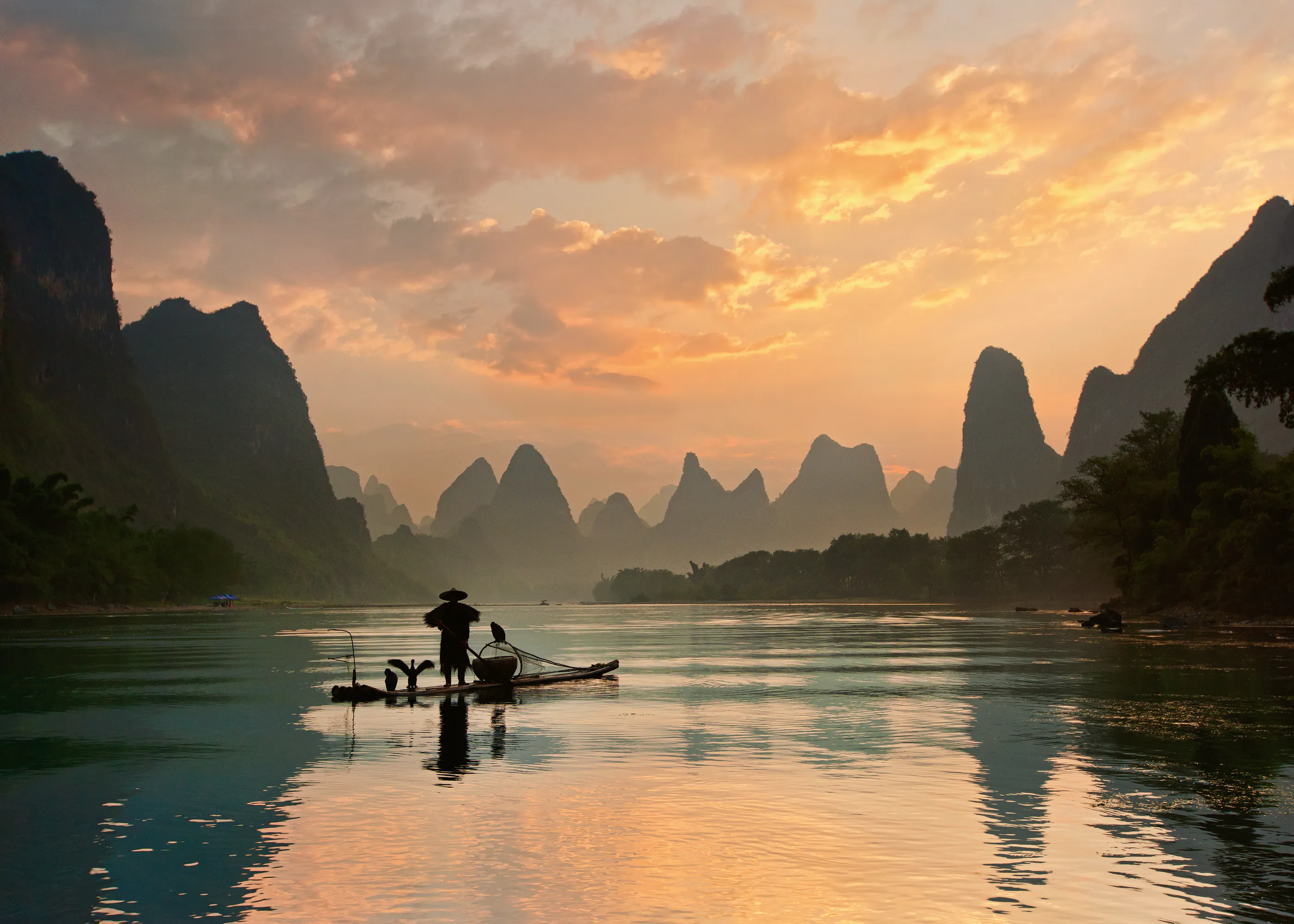 Yan Zhang - Kormoran-Fischerei zur Goldenen Stunde Poster 0