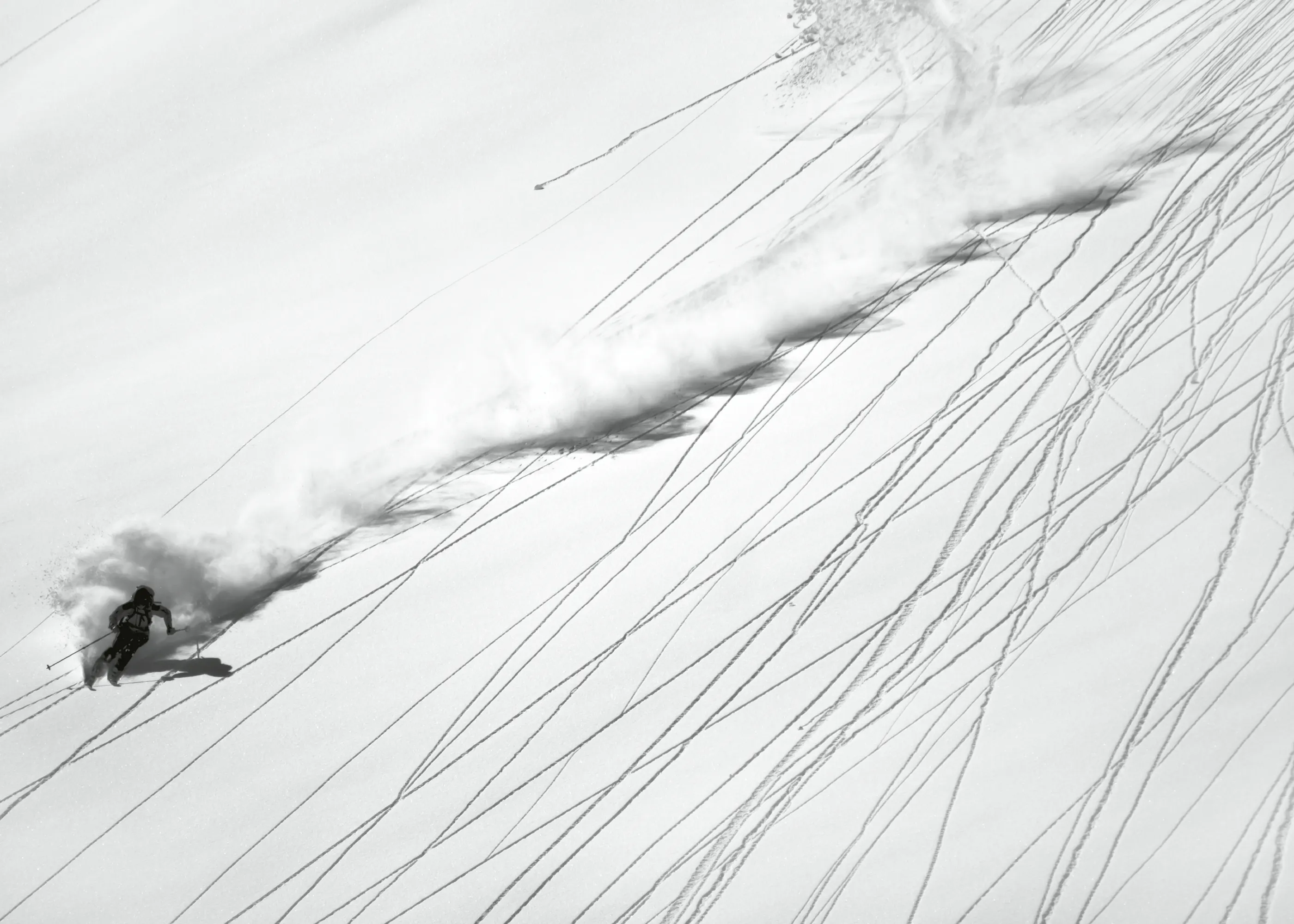 Lorenzo Rieg - Powder Ski Action Affiche 0