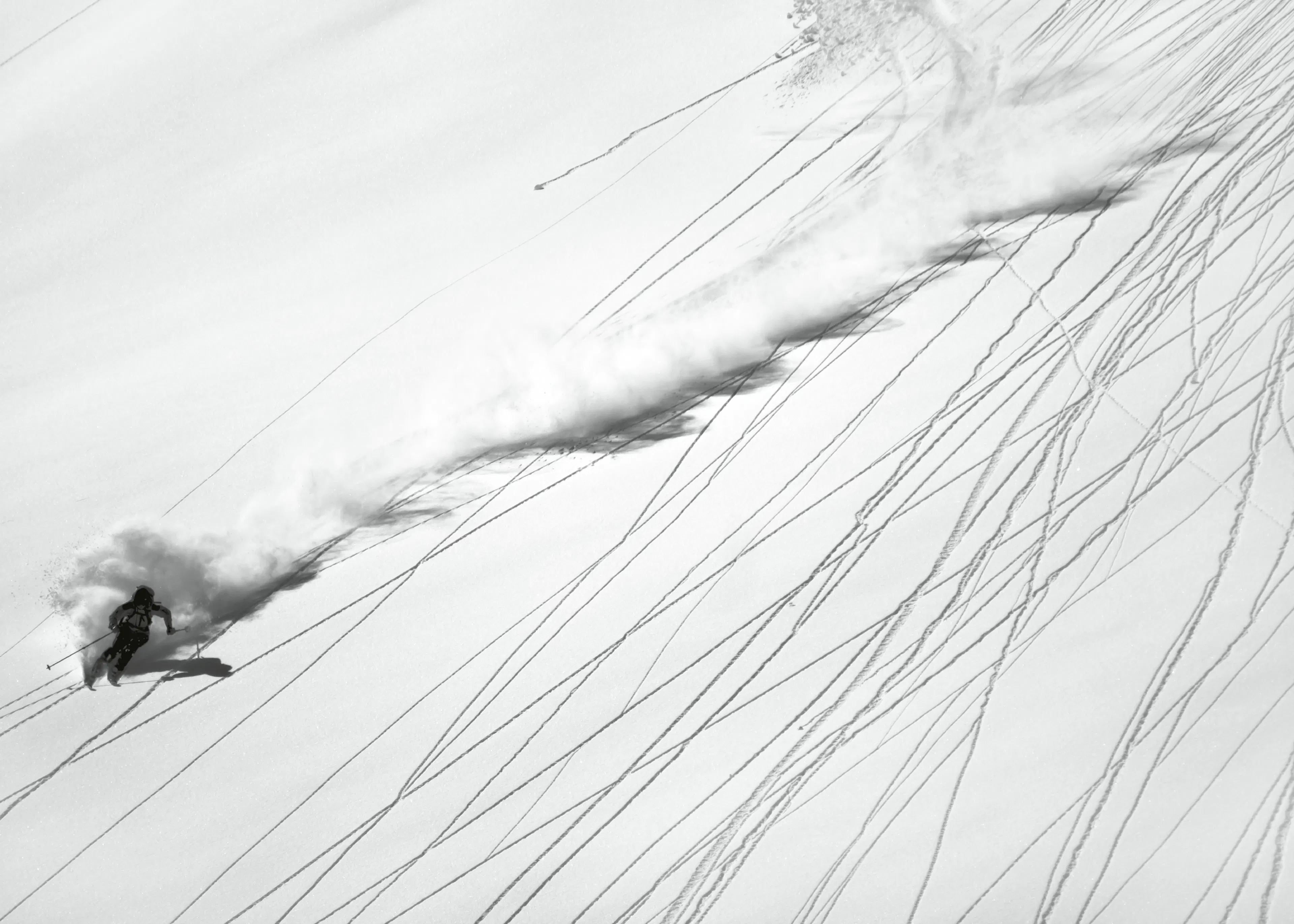 Lorenzo Rieg - Powder Ski Action Affiche 0