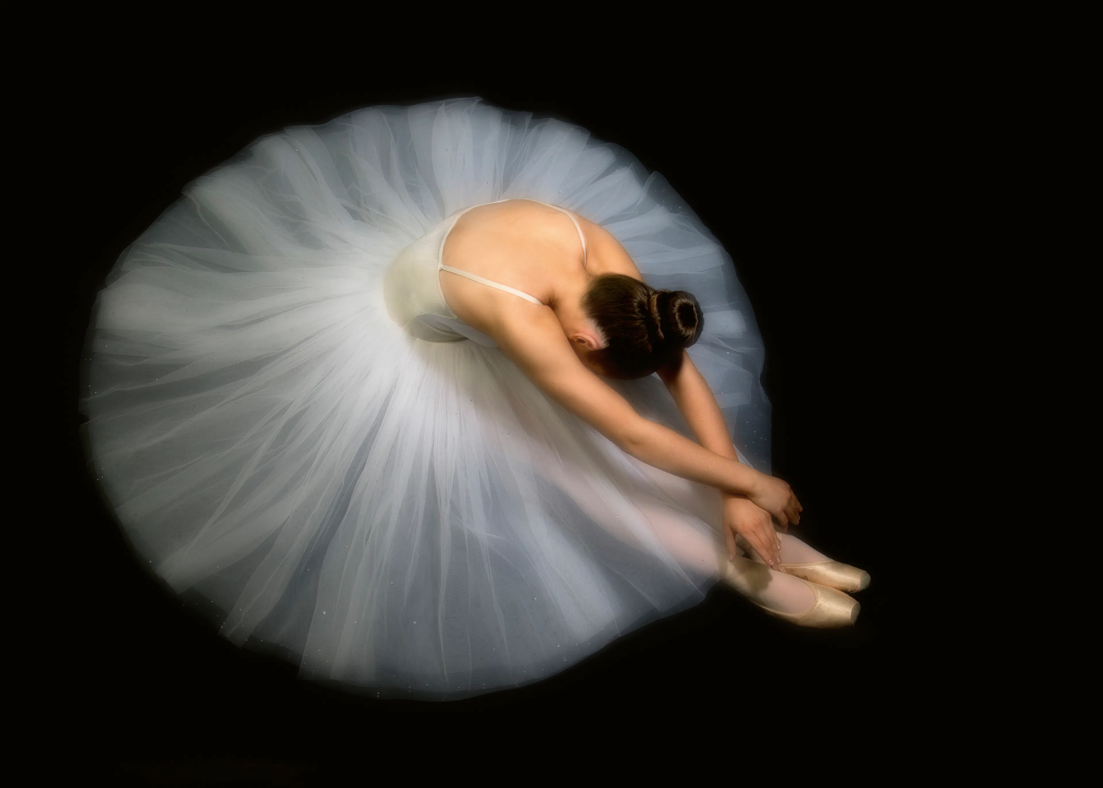 Pauline Pentony MA ARPS DPAGB - Elegante Ballerinapose Poster 0