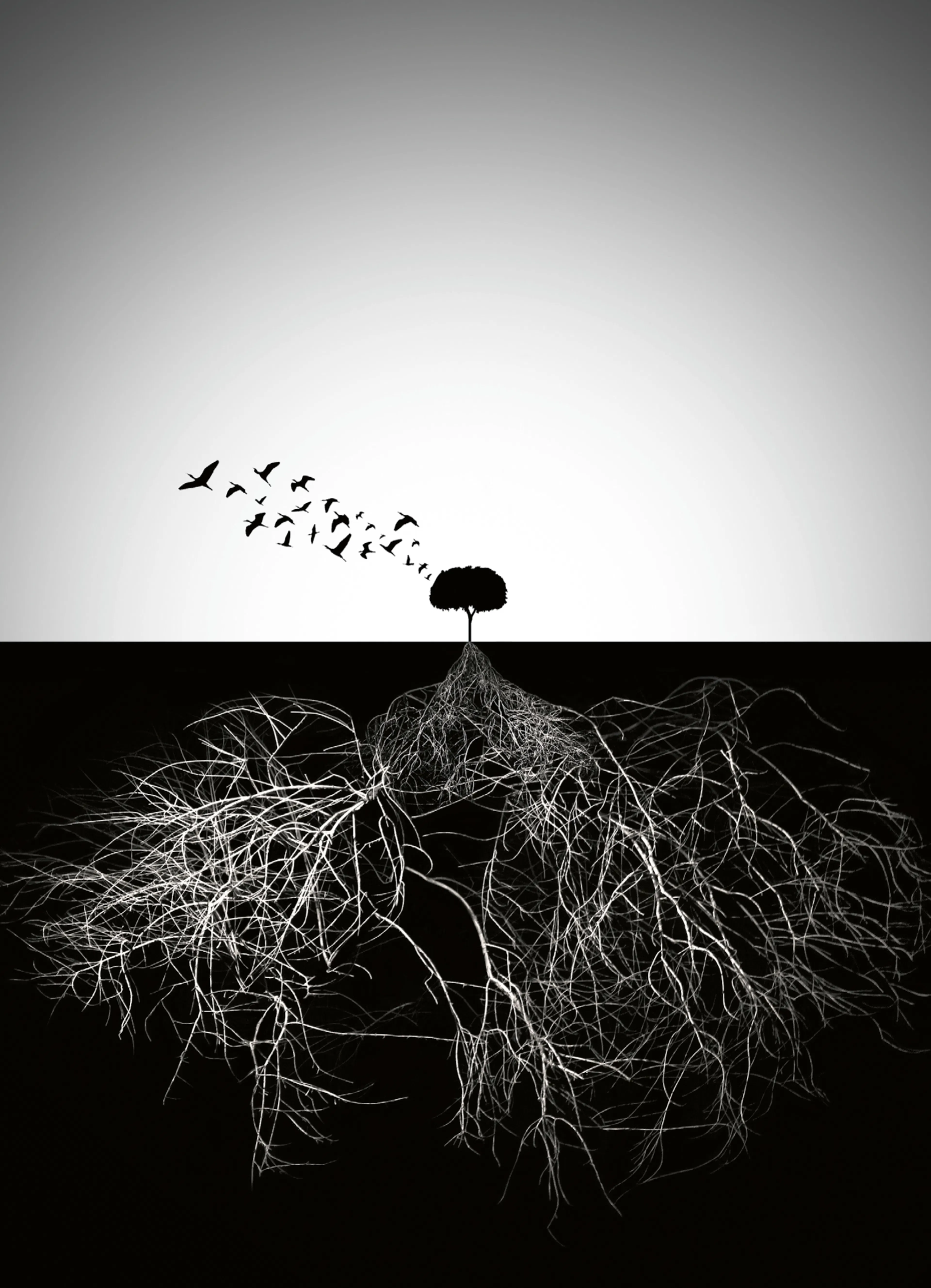 Product image: 1