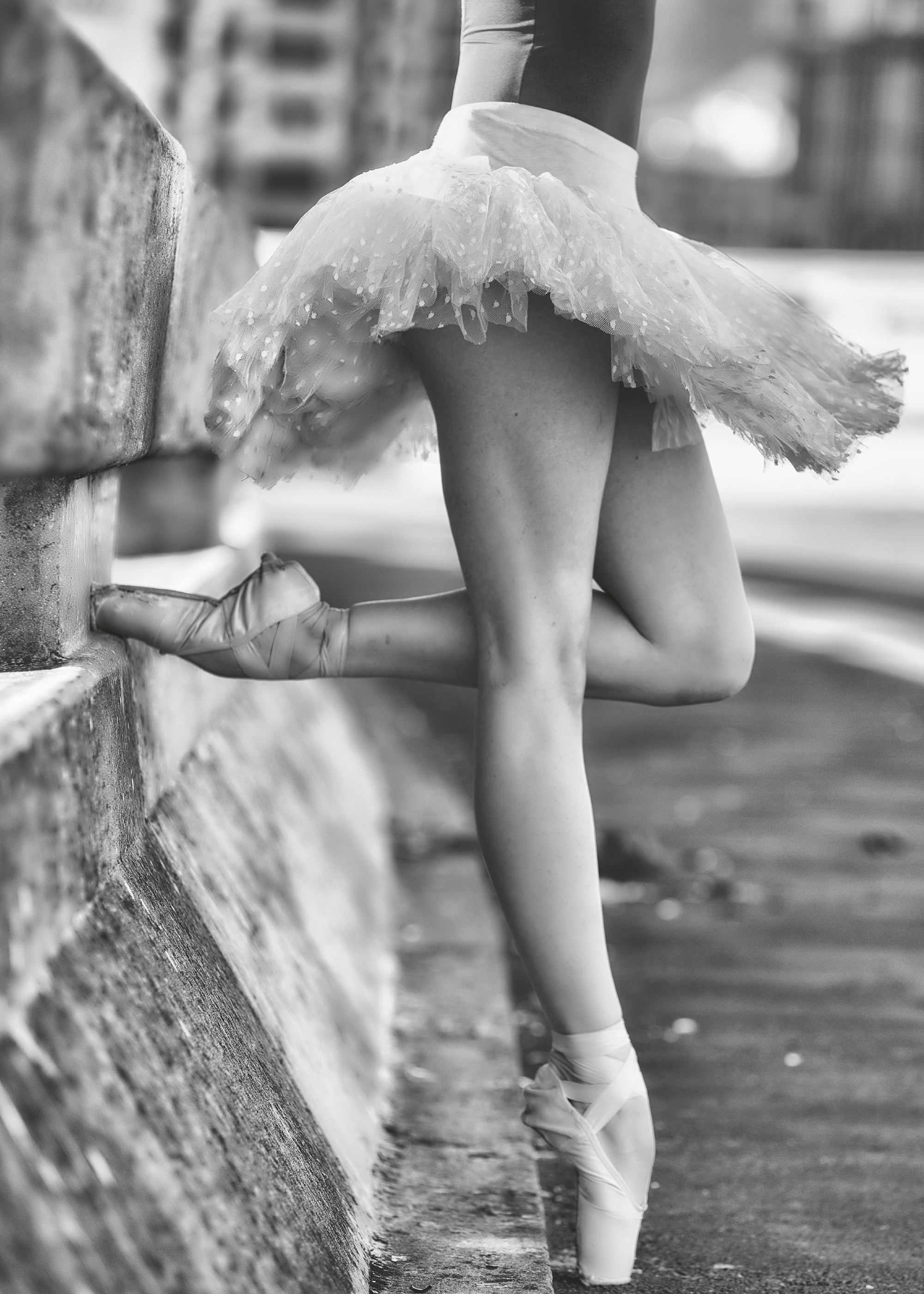 BALLERINA パンフレット Michael Groenewald - Ballerina Pointe Elegance Poster