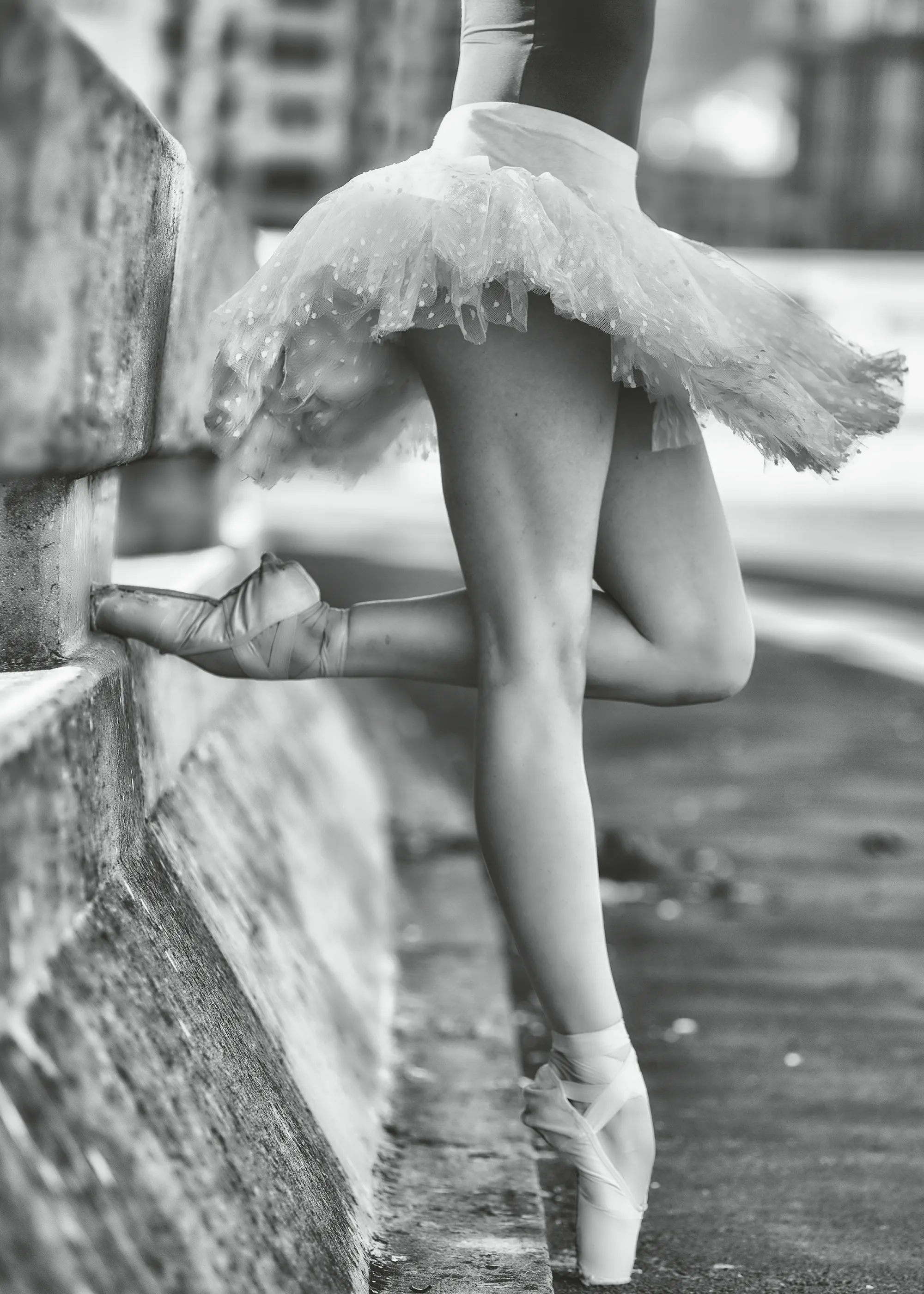 Michael Groenewald - Ballerina Pointe Eleganse Plakat 0