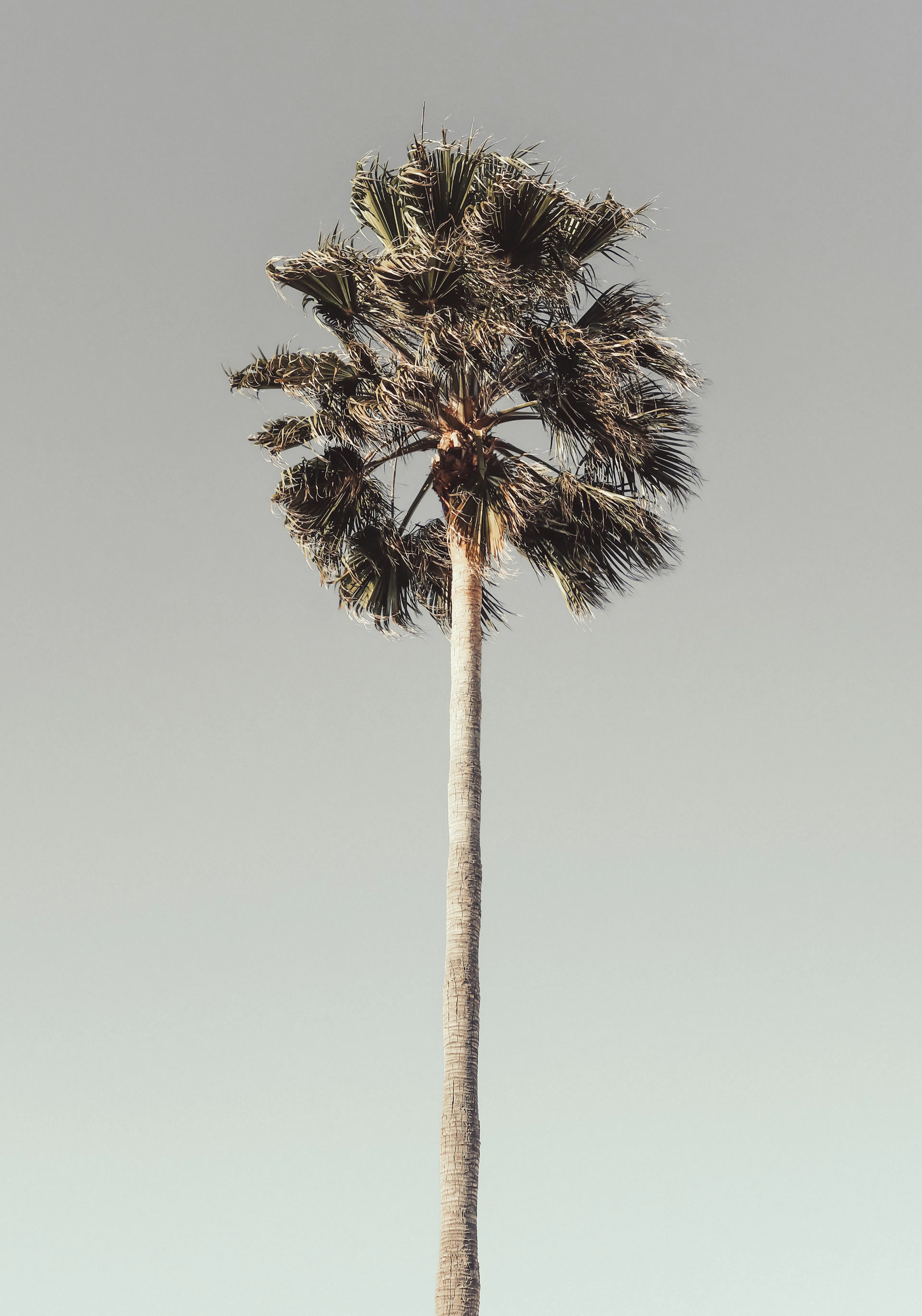 Product image: 1