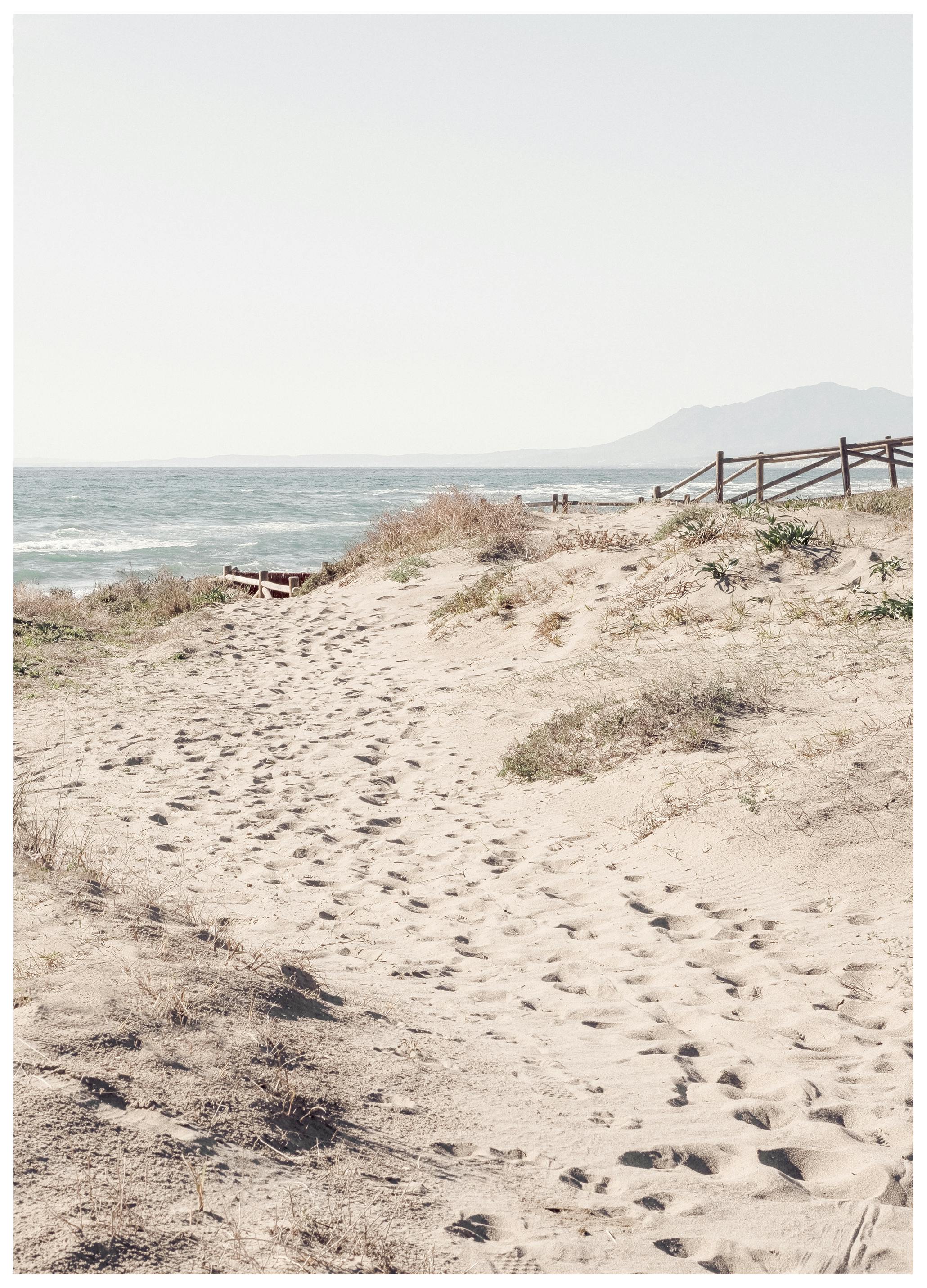 Pictufy Studio III - Serene Beach Path Poster (70x100 cm) - Poster Store