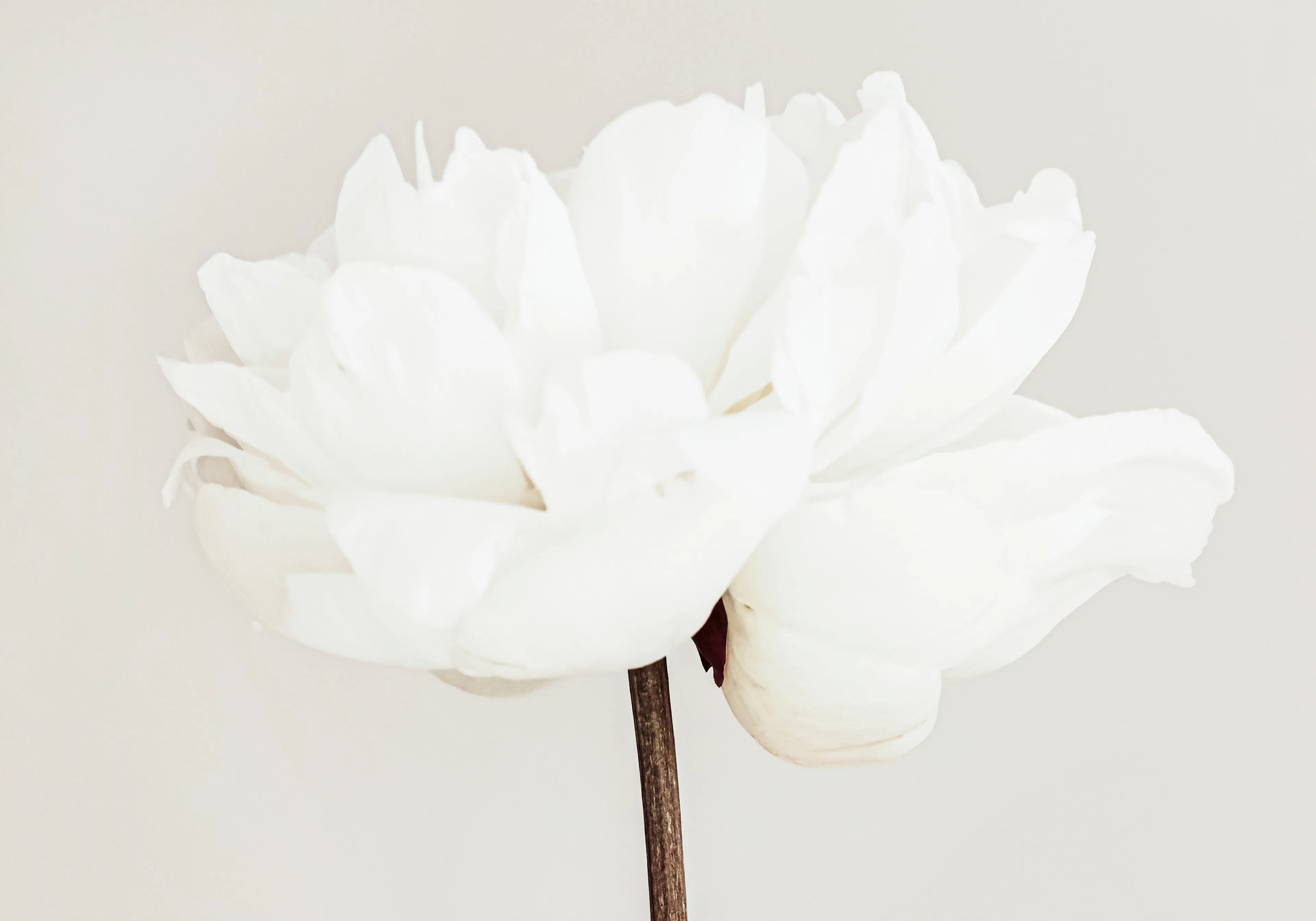 Product image: 1