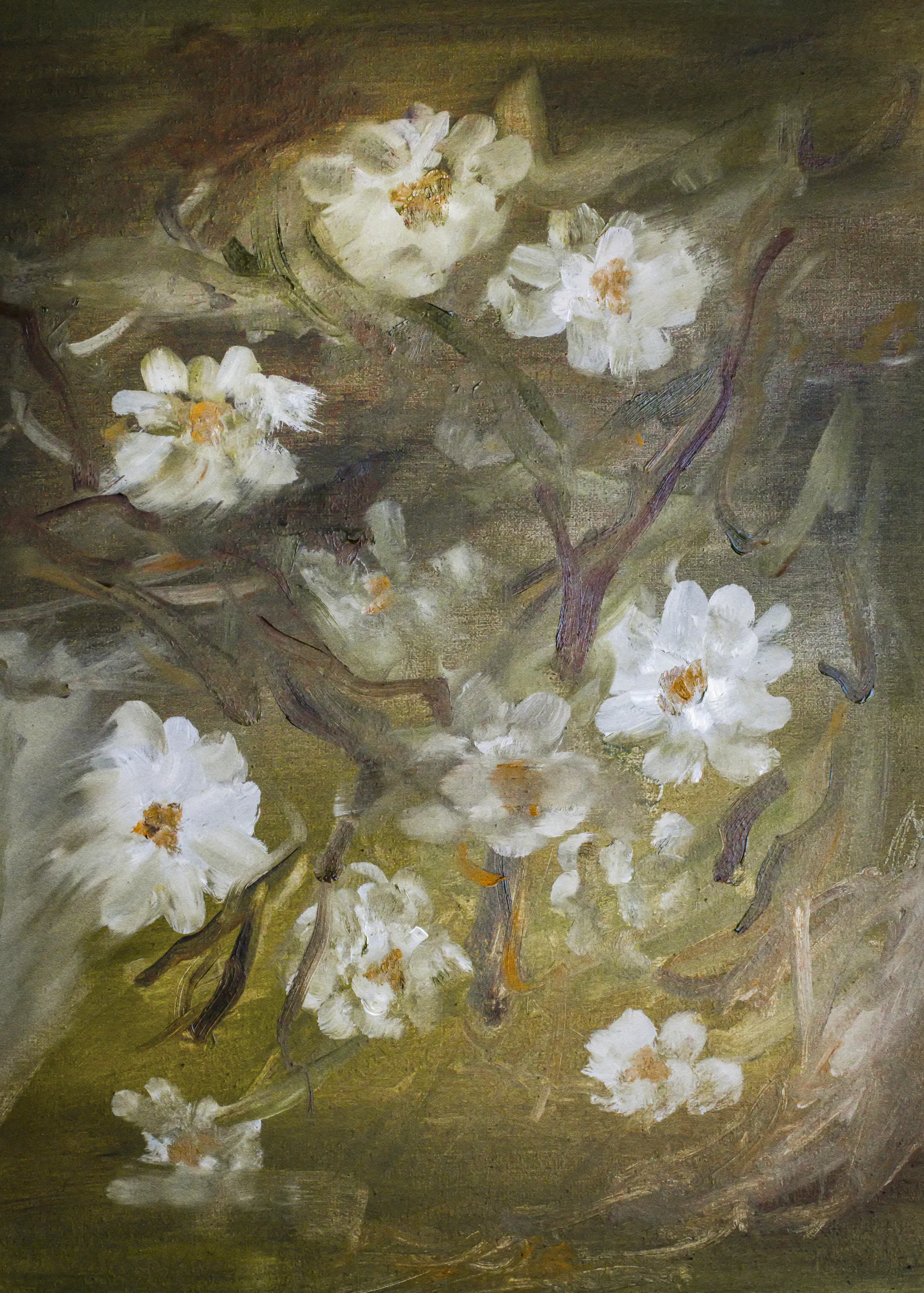 Emily Tingey - Weiche weiße Blüten Poster 0